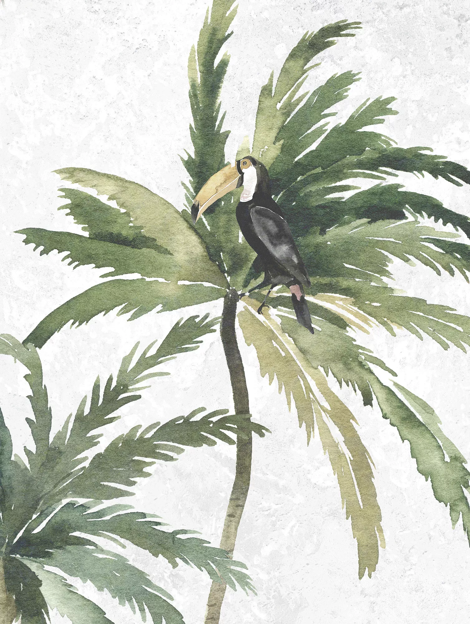 Komar Poster "Tropical Toucan", (1 St.) günstig online kaufen
