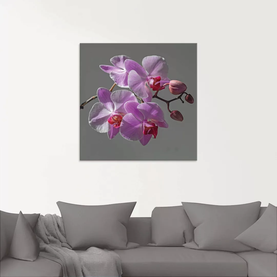 Artland Glasbild "Orchideentraum", Blumen, (1 St.), in verschiedenen Größen günstig online kaufen