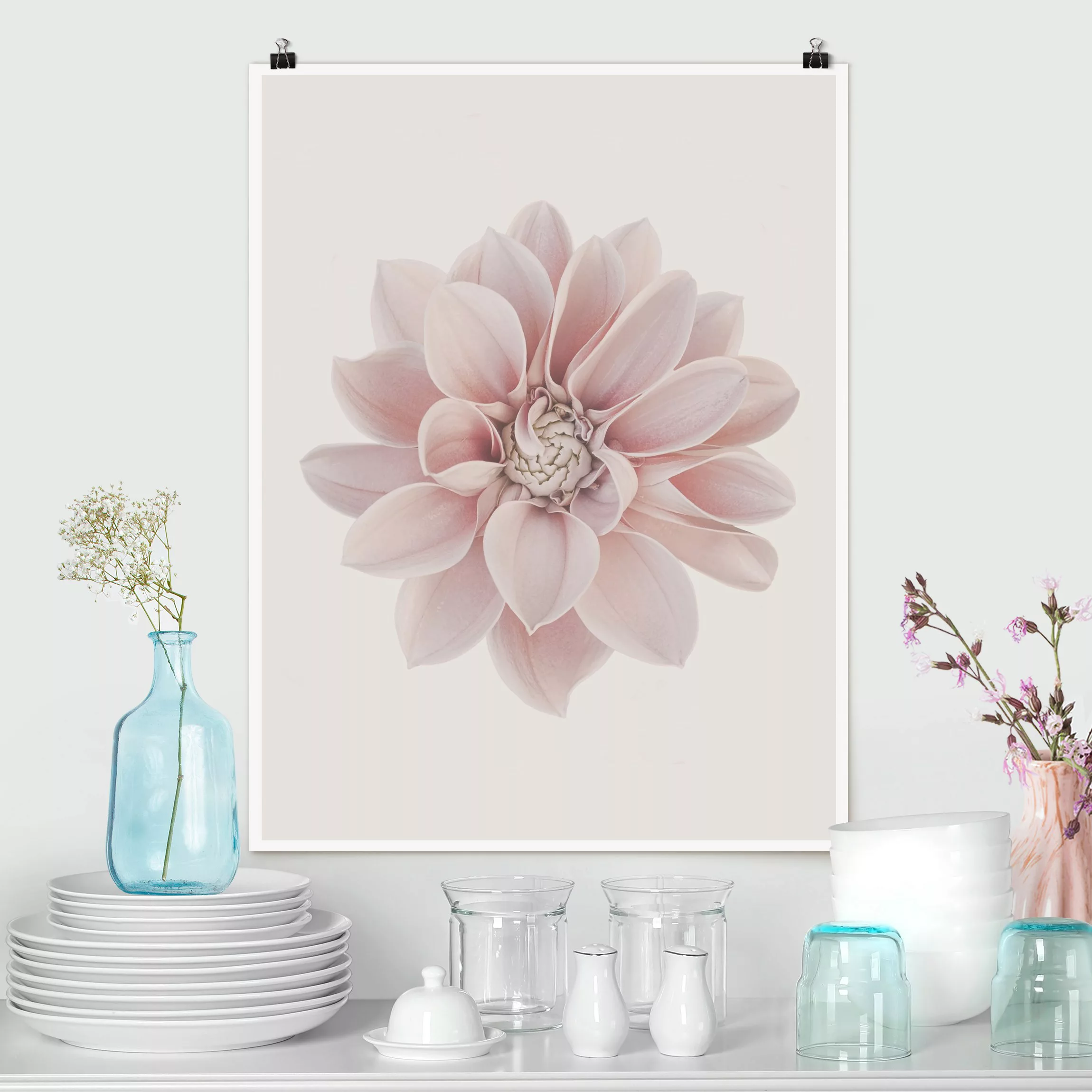 Poster Fotografie Dahlie Blume Pastell Weiß Rosa günstig online kaufen