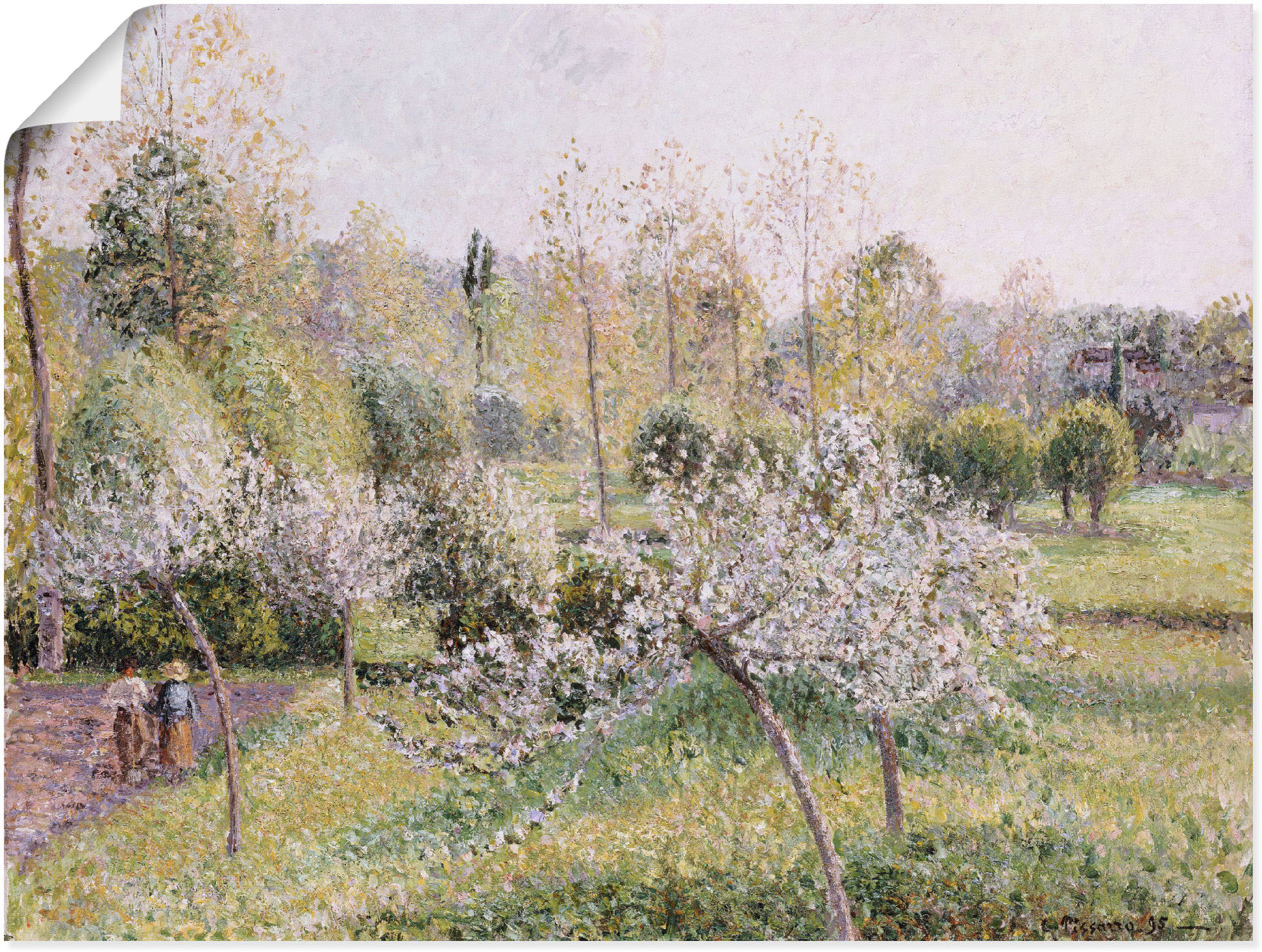 Artland Wandbild "Blühende Apfelbäume in Eragny. 1895", Wiesen & Bäume, (1 günstig online kaufen