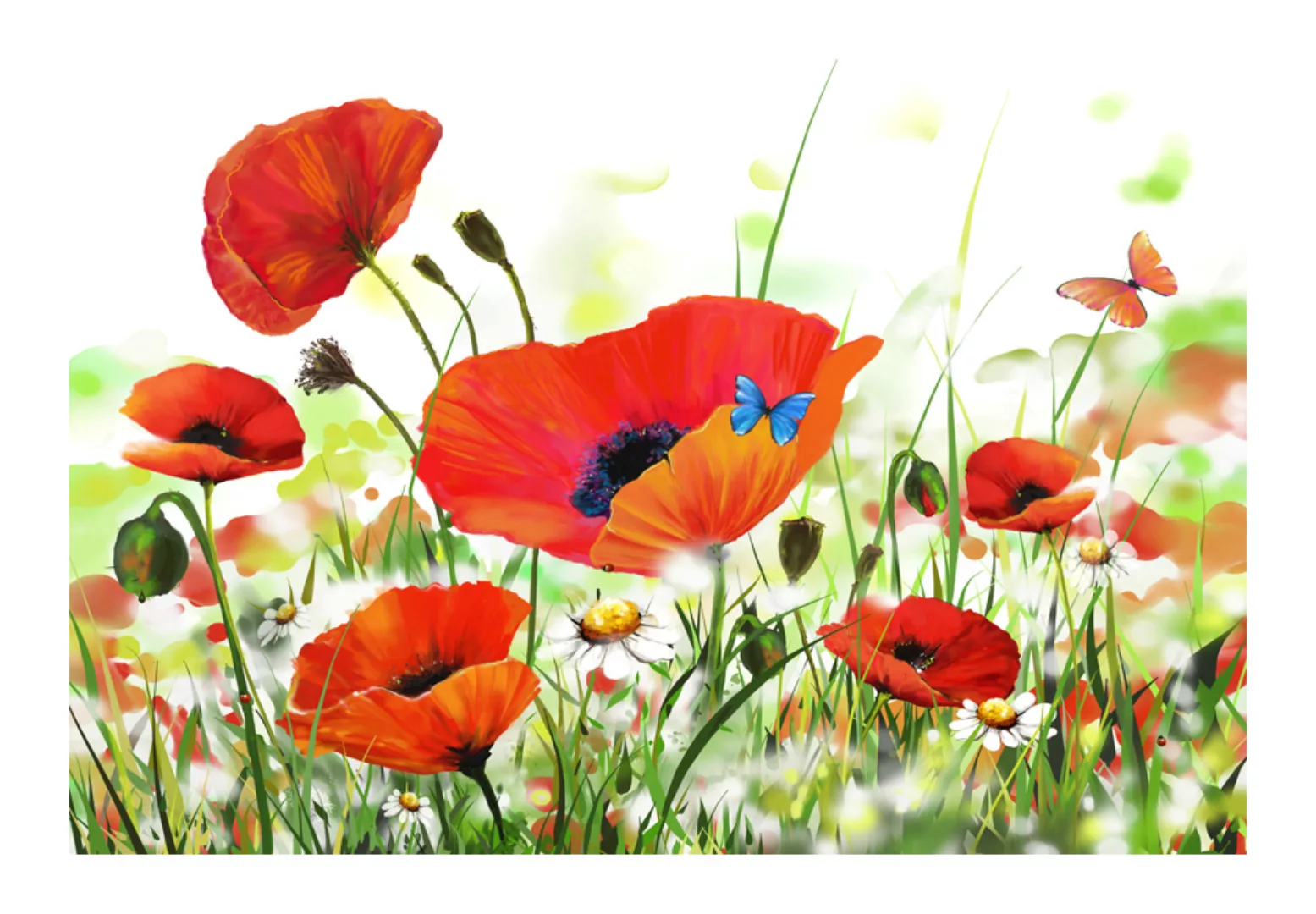 Fototapete - Country Poppies günstig online kaufen