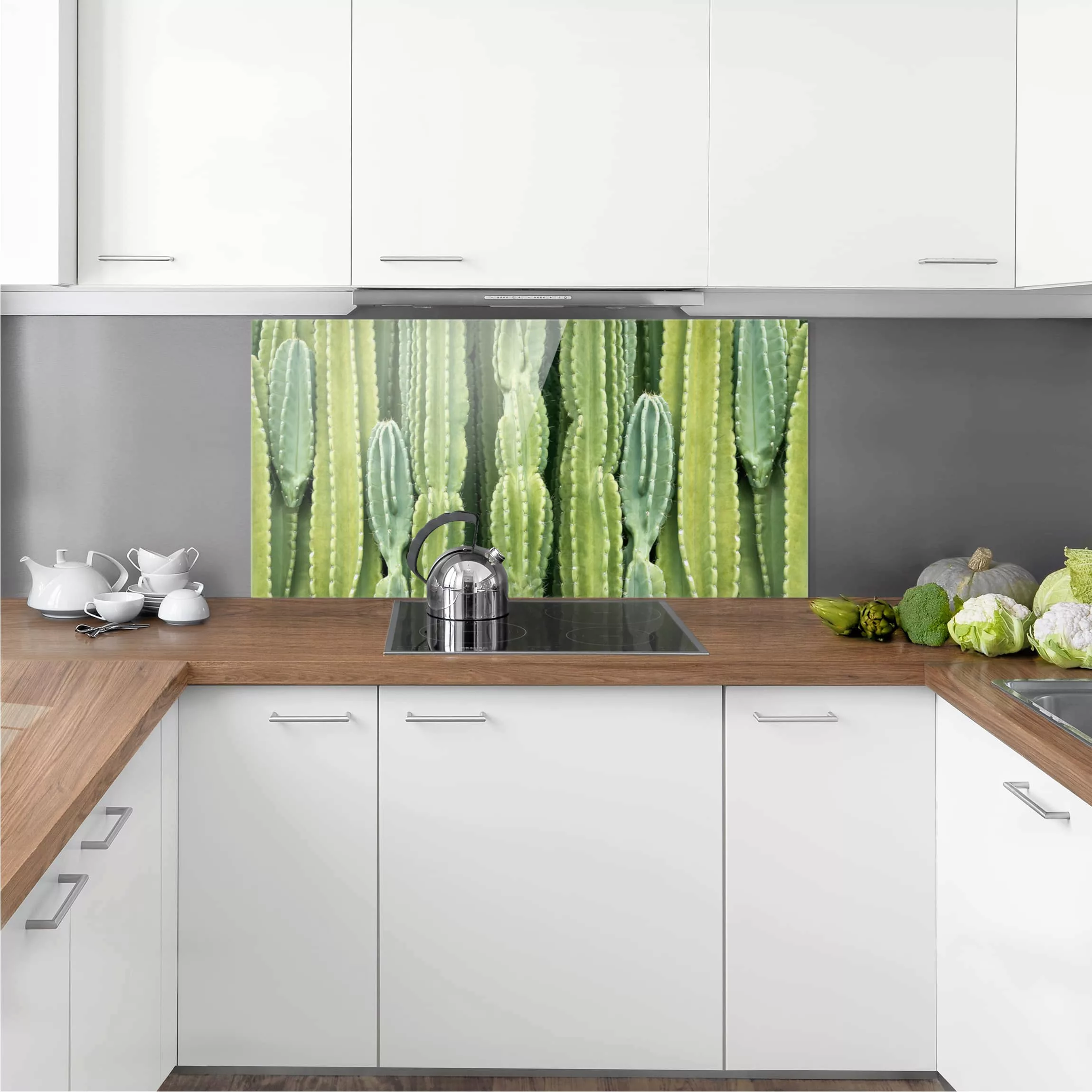 Glas Spritzschutz - Querformat 2:1 Kaktus Wand günstig online kaufen