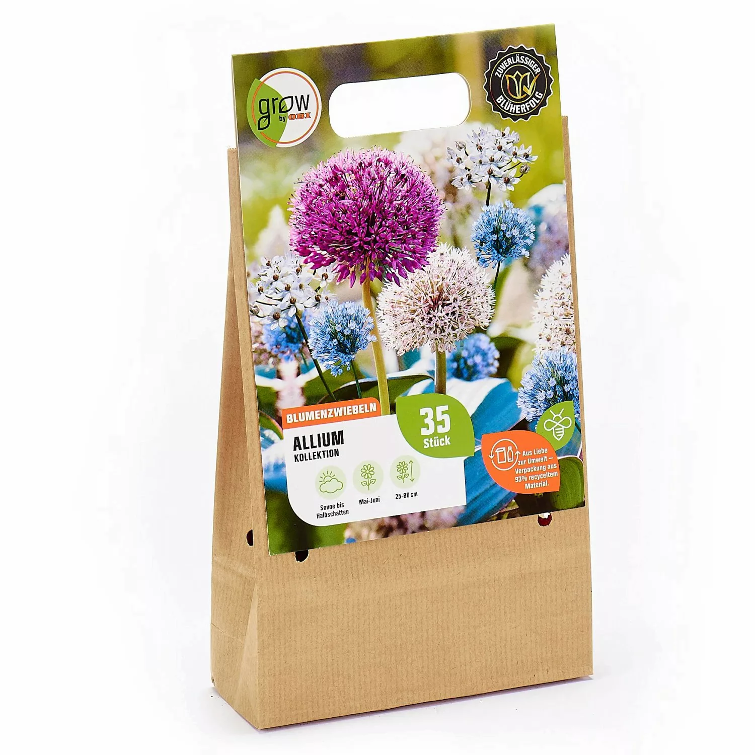 GROW by OBI Allium-Kollektion 1 Mischung 35 Stück günstig online kaufen