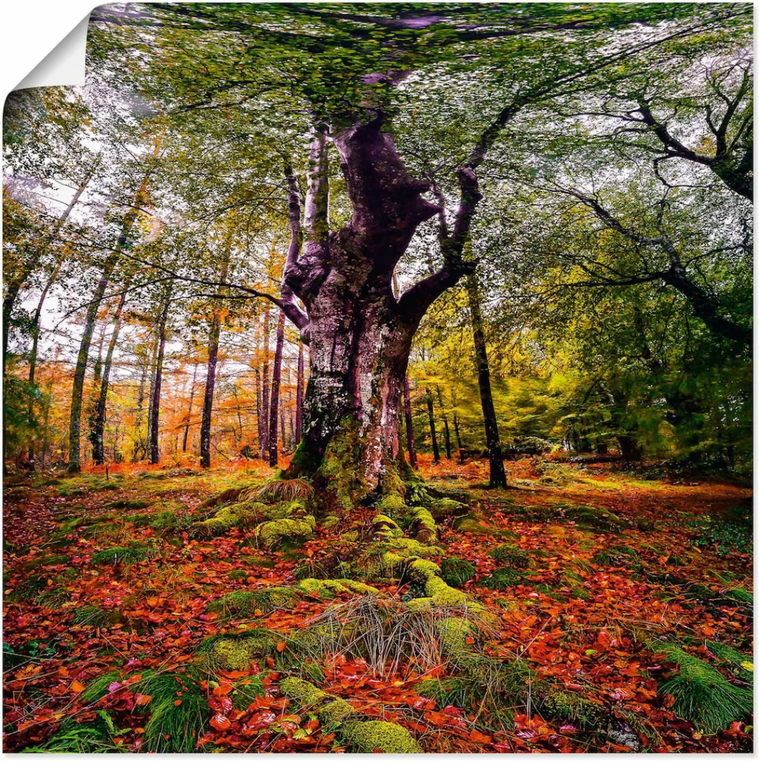 Artland Wandbild "Baum im Wald", Baumbilder, (1 St.) günstig online kaufen