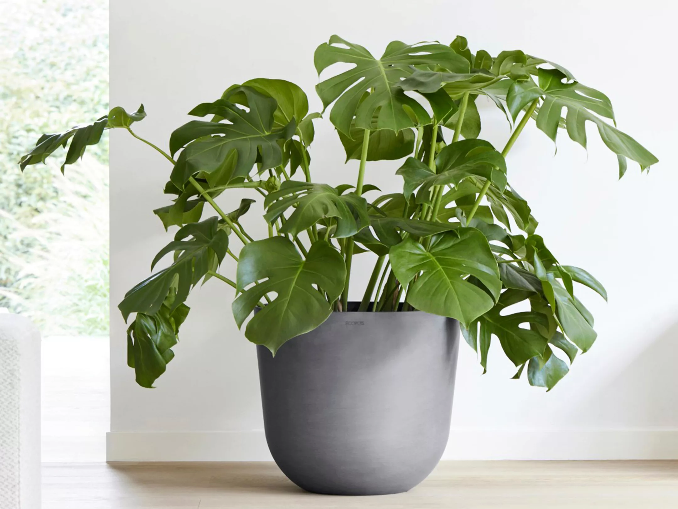 ECOPOTS Blumentopf "Oslo 45 + Wassersystem Grau", für innen und außen: fros günstig online kaufen