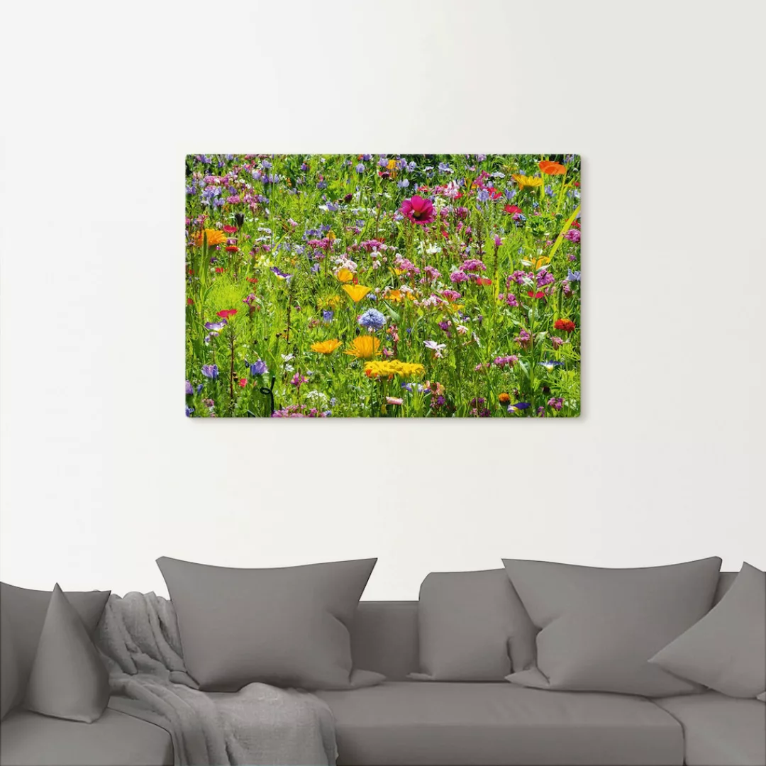 Artland Wandbild »Bunte Blumenwiese«, Blumenwiese, (1 St.), als Alubild, Ou günstig online kaufen