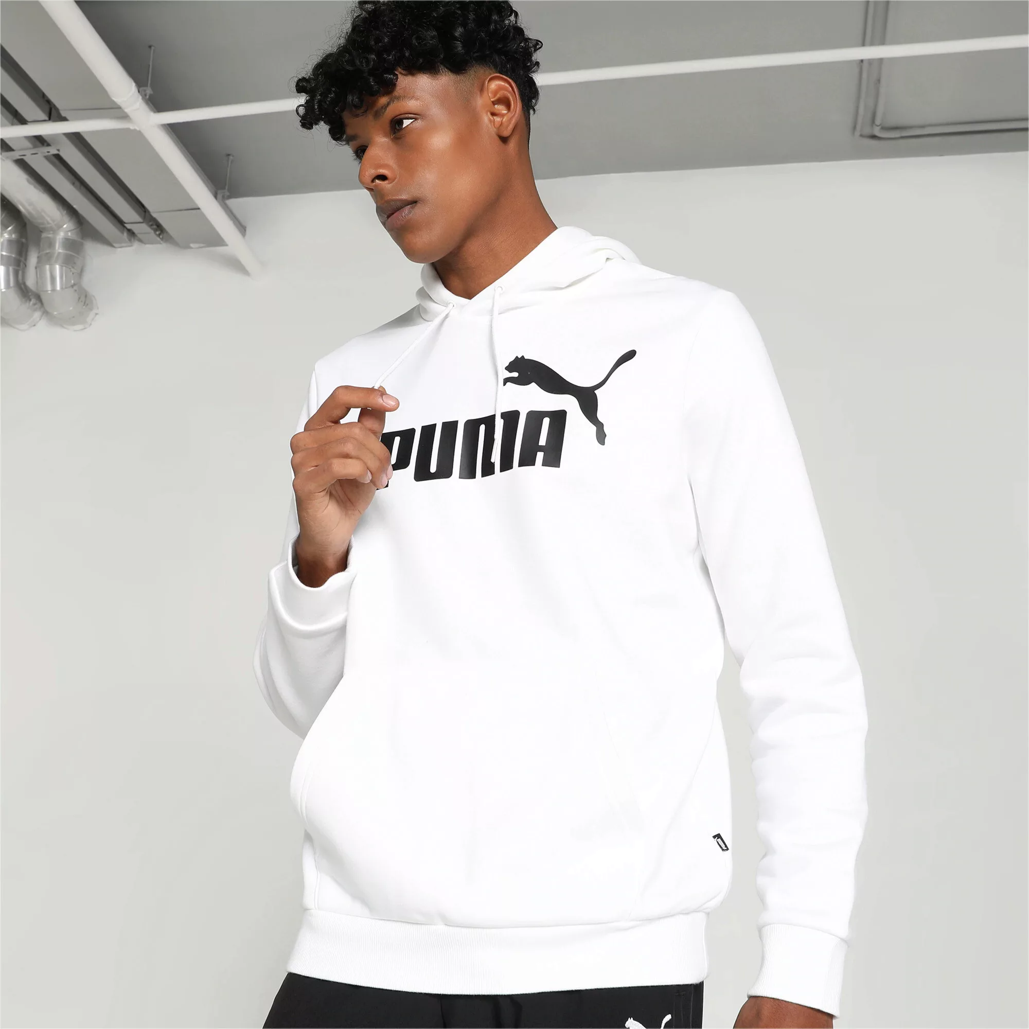 PUMA Hoodie "Essentials Big Logo Hoodie Herren" günstig online kaufen