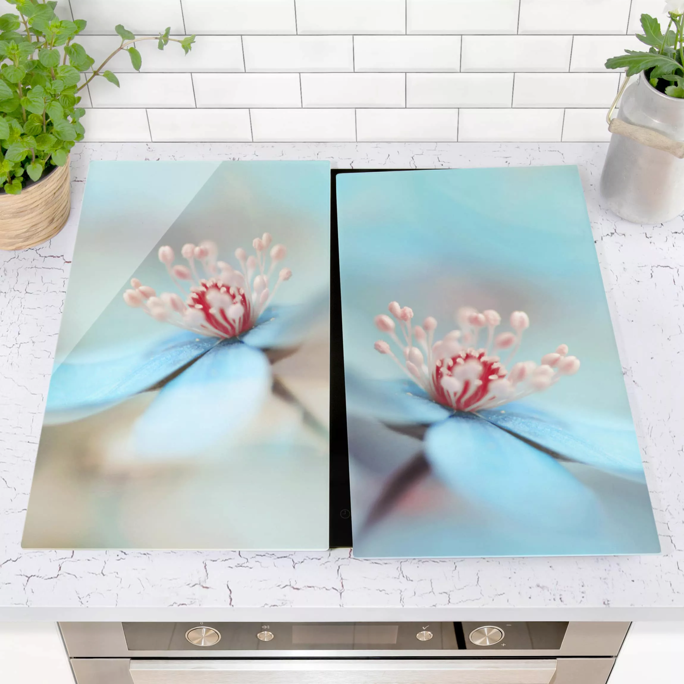 2-teilige Herdabdeckplatte Glas Blumen Blüten in Hellblau günstig online kaufen