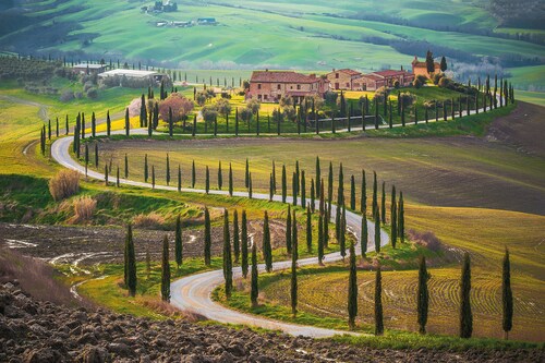 Papermoon Fototapete »Fields in Tuscany« günstig online kaufen