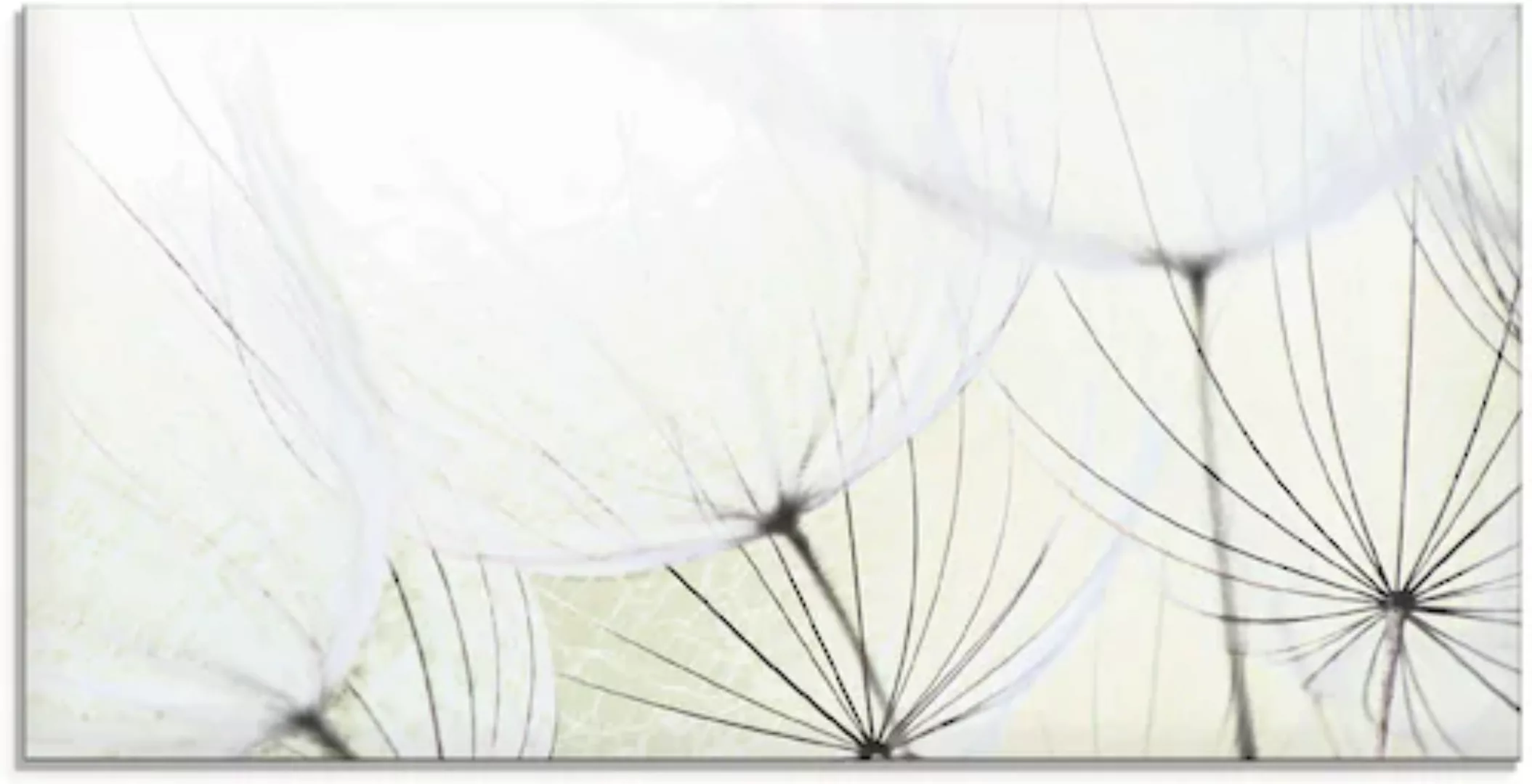 Artland Glasbild »Pusteblumen-Samen aufgehellt«, Blumen, (1 St.), in versch günstig online kaufen
