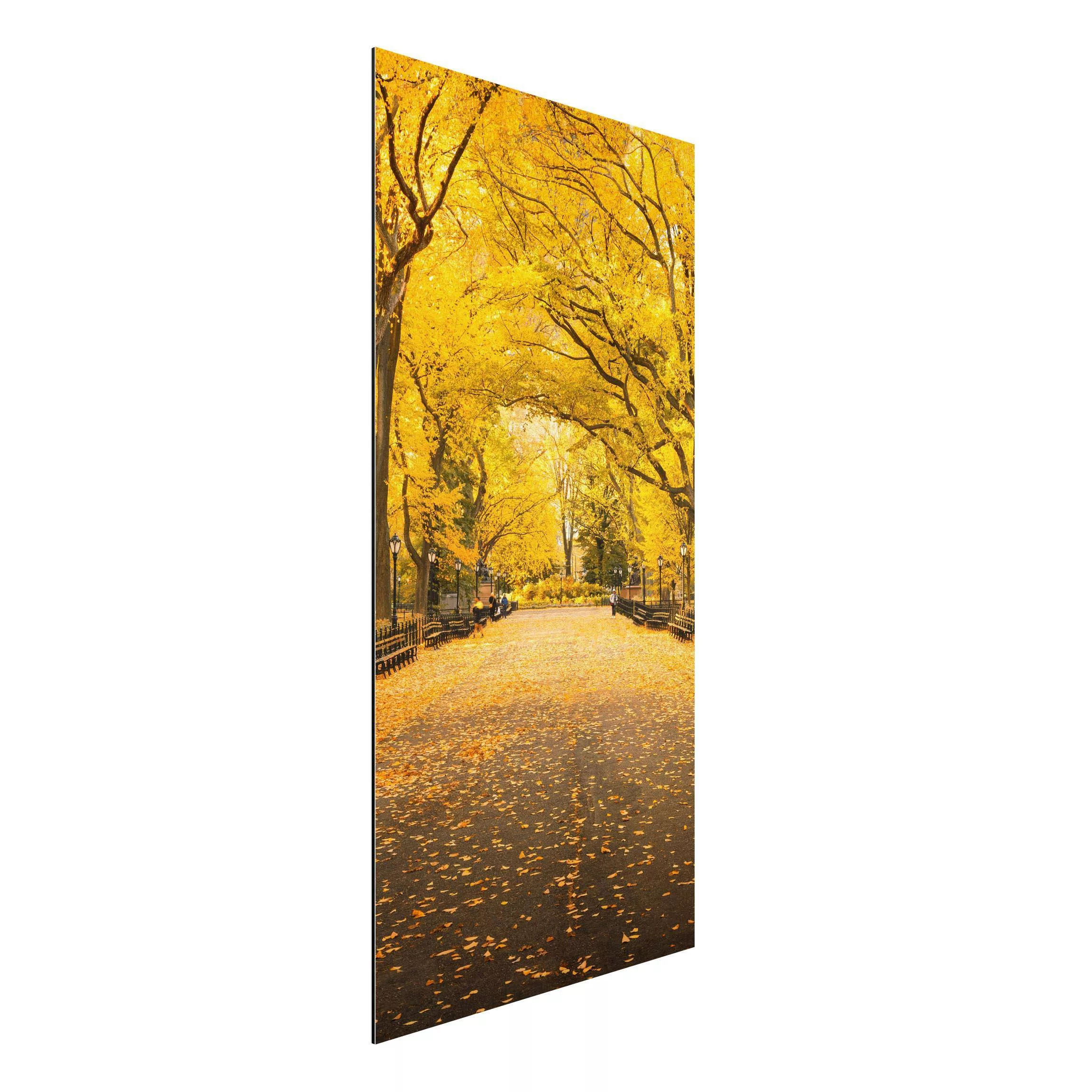 Alu-Dibond Bild Herbst im Central Park günstig online kaufen