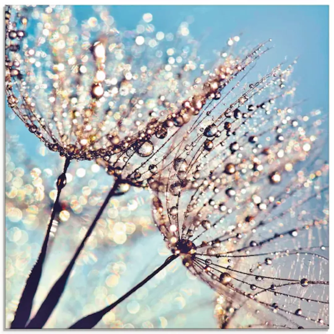 Artland Glasbild »Pusteblume Tröpfchenfänger«, Blumen, (1 St.), in verschie günstig online kaufen