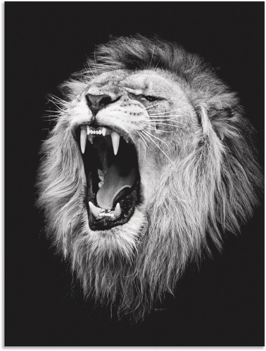 Artland Wandbild "Der Löwe", Wildtiere, (1 St.) günstig online kaufen
