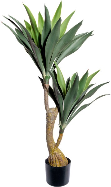 Creativ green Künstliche Zimmerpflanze »Dracaena« günstig online kaufen