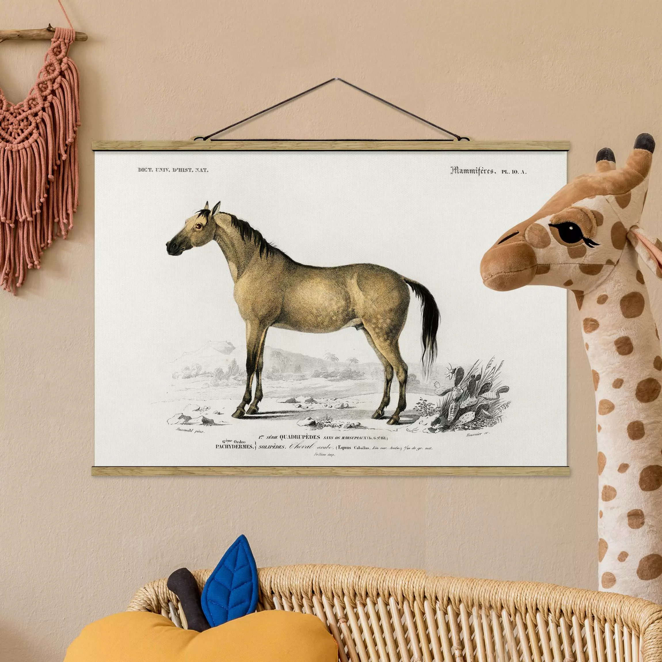 Stoffbild Tiere mit Posterleisten - Querformat Vintage Lehrtafel Pferd günstig online kaufen