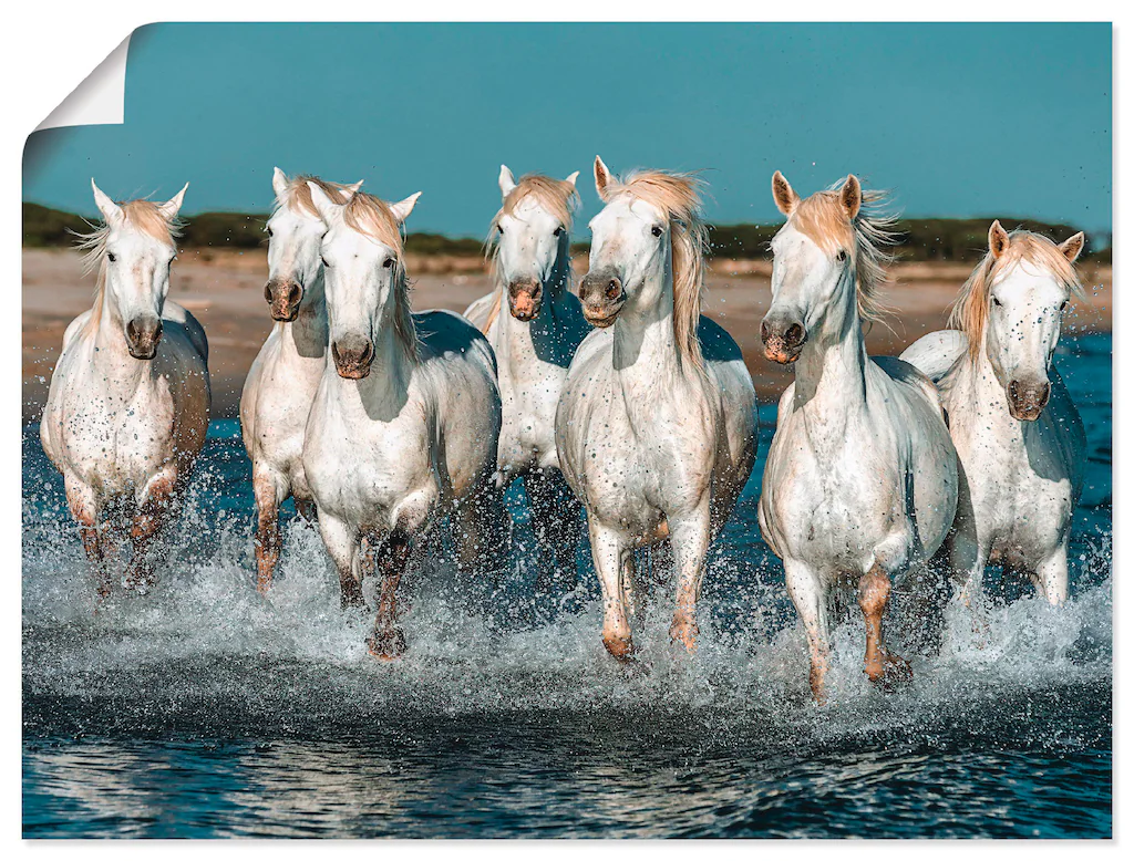 Artland Wandbild "Camargue Pferde galoppieren am Strand", Haustiere, (1 St. günstig online kaufen