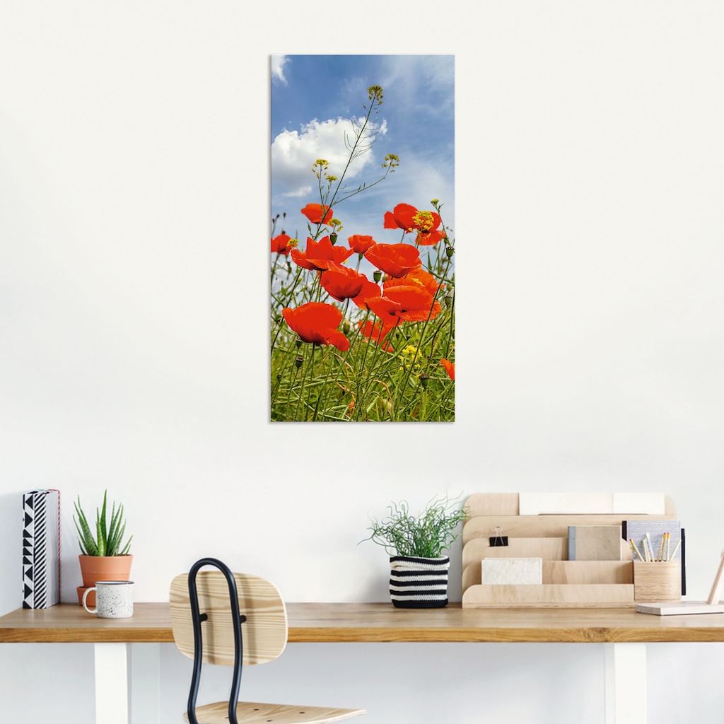 Artland Wandbild »Mohnblumen im Panorama«, Blumenbilder, (1 St.), als Alubi günstig online kaufen
