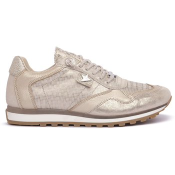 Cetti  Sneaker PARIGI CHAMPAGNE günstig online kaufen