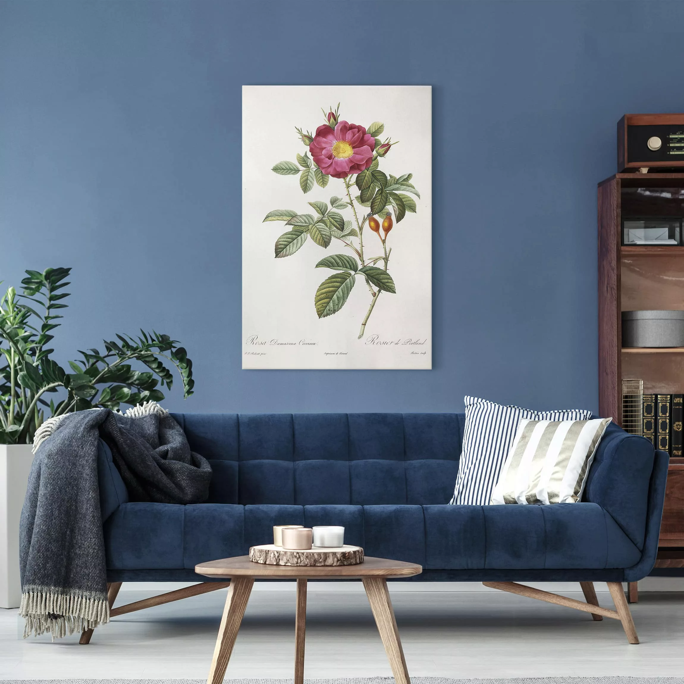 Leinwandbild Blumen - Hochformat Pierre Joseph Redouté - Portland-Rose günstig online kaufen
