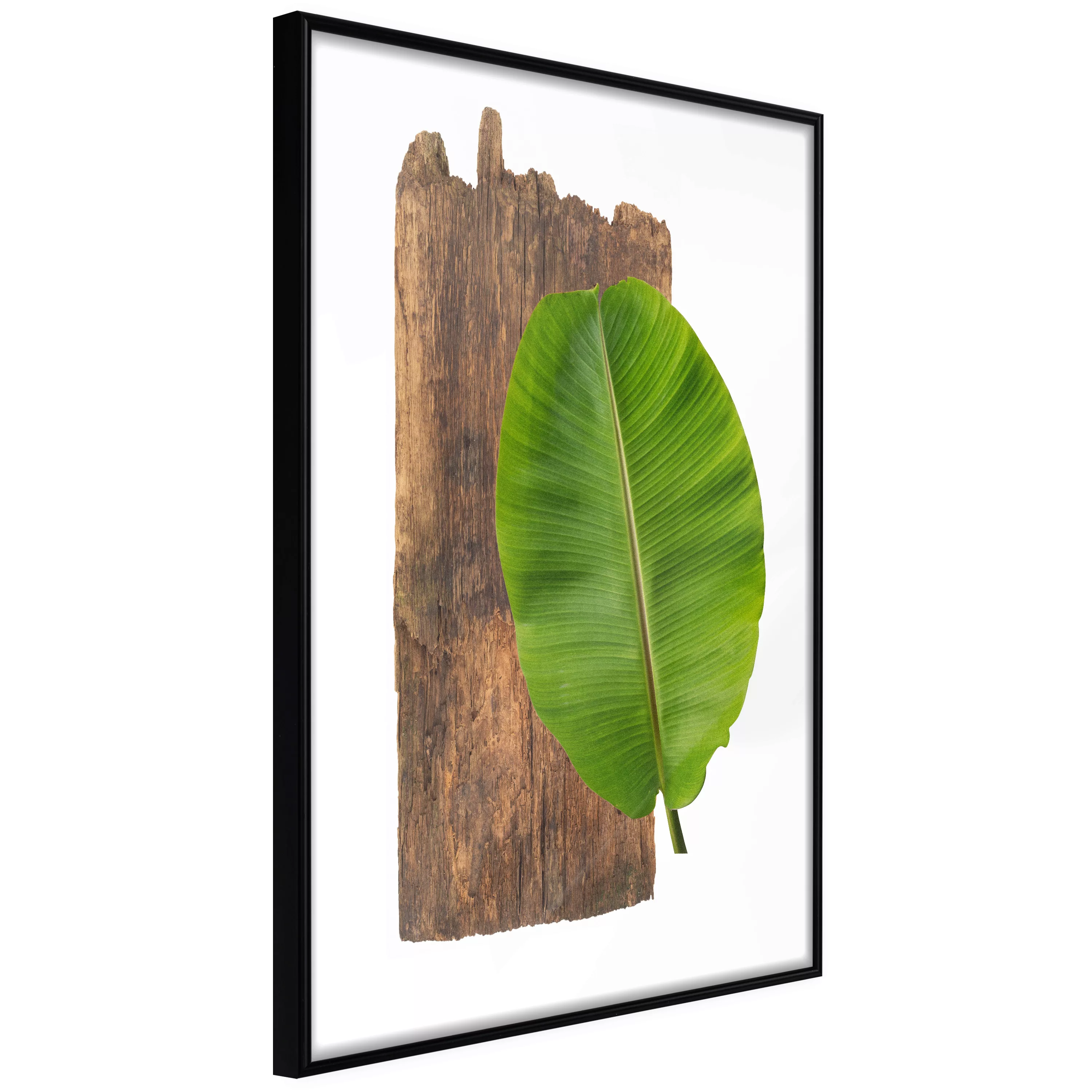Poster - Forest Nature günstig online kaufen