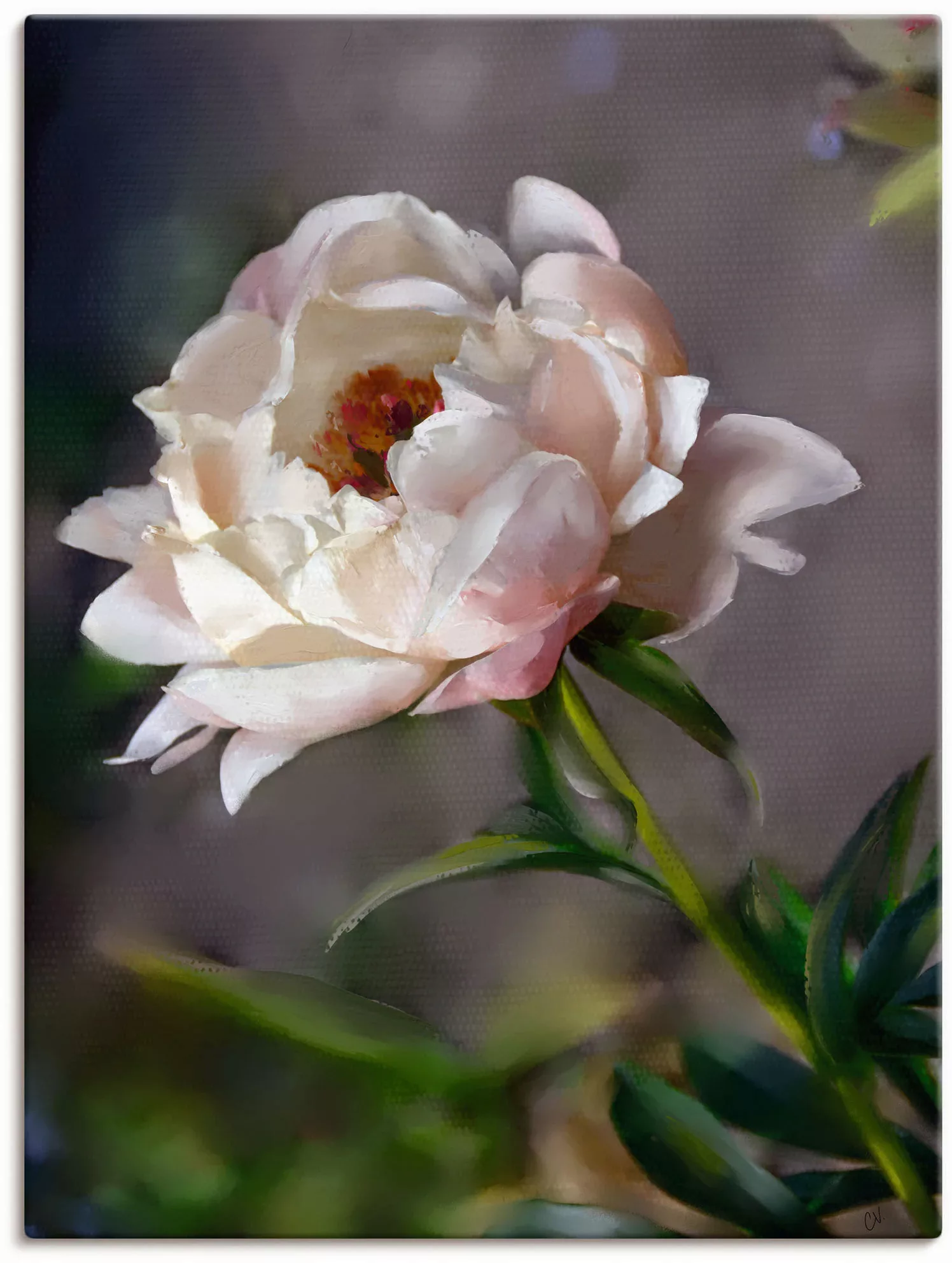 Artland Wandbild »Pfingstrose Vintage«, Blumenbilder, (1 St.) günstig online kaufen