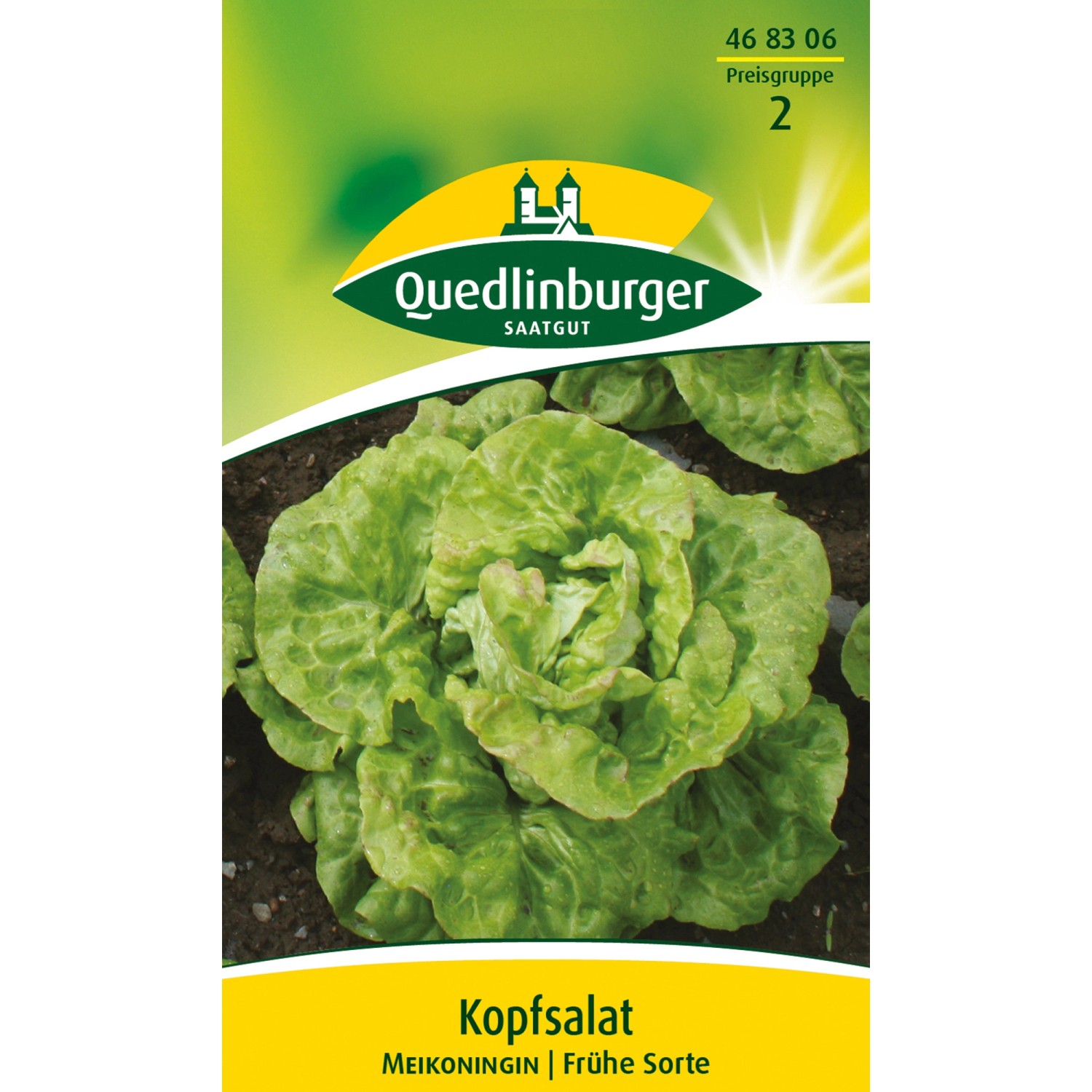 Quedlinburger Kopf Salat ''Meikoningin'' günstig online kaufen