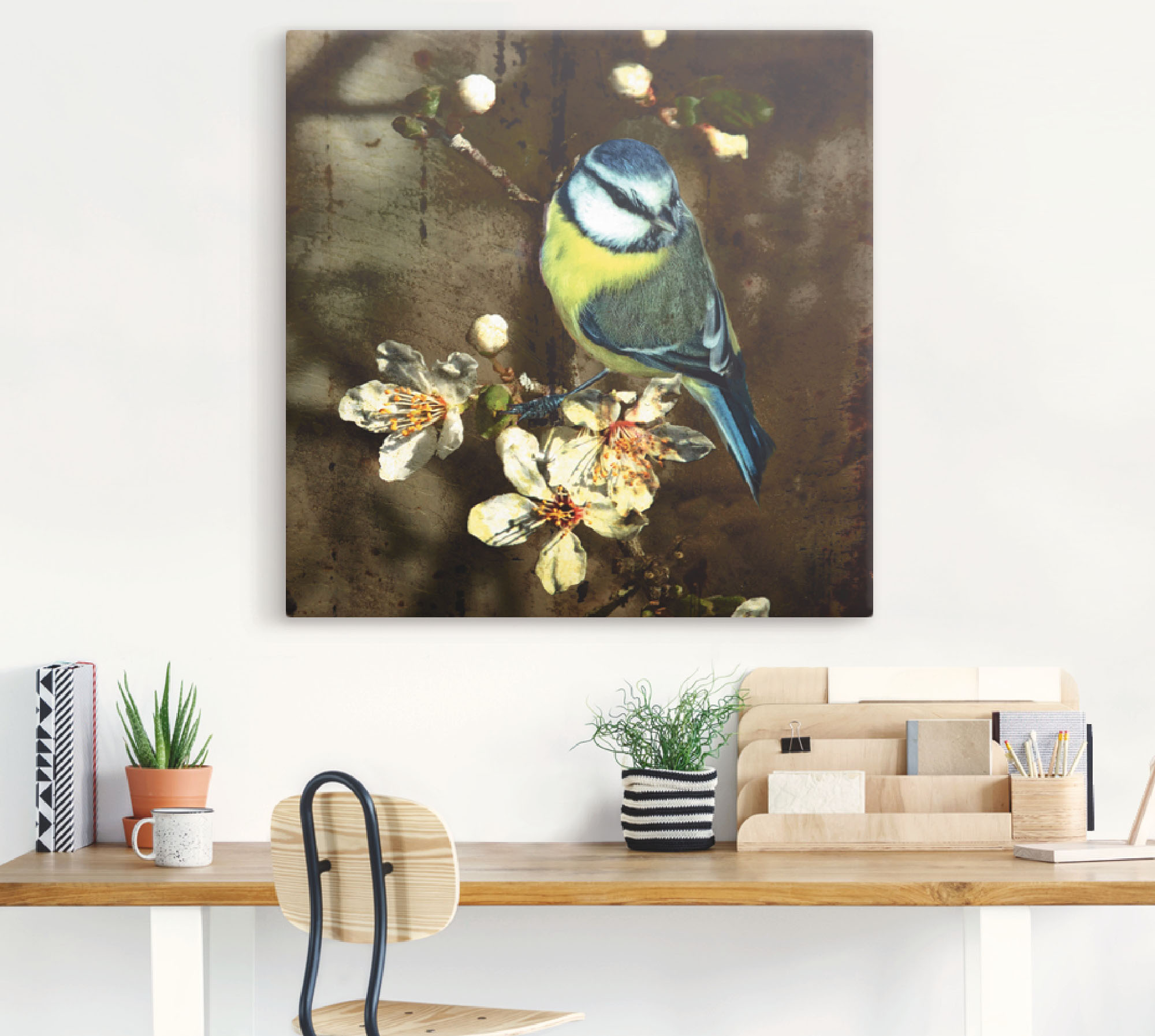 Artland Wandbild "Blaumeise auf Kirschzweig", Vögel, (1 St.), als Alubild, günstig online kaufen