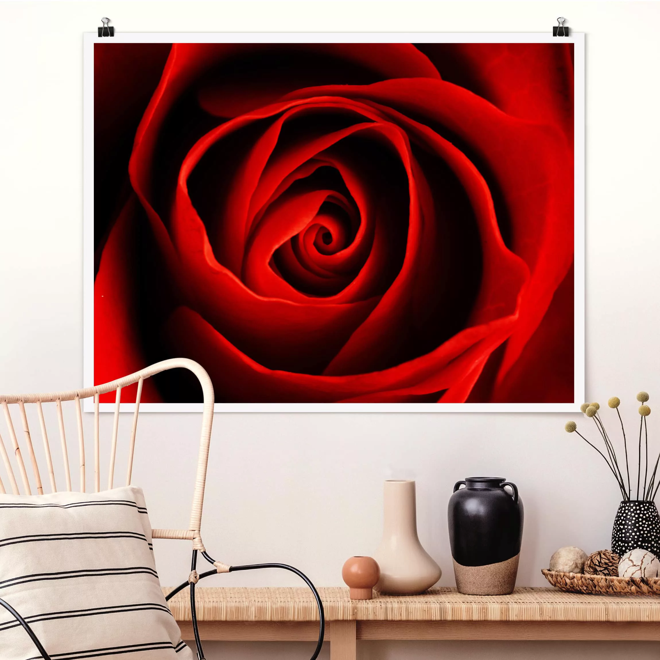 Poster Blumen - Querformat Liebliche Rose günstig online kaufen