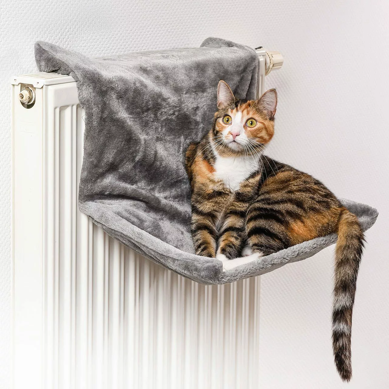 Canadian Cat Company Katzen-Hängematte Liegemulde für günstig online kaufen