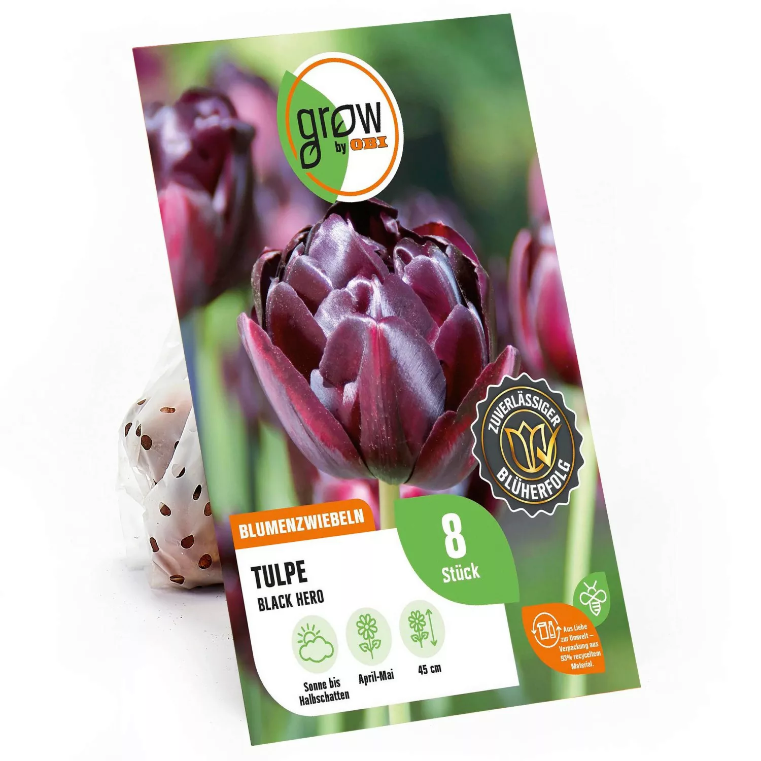 GROW by OBI Tulpe Black Hero Purpurrot 8 Stück Tulipa günstig online kaufen