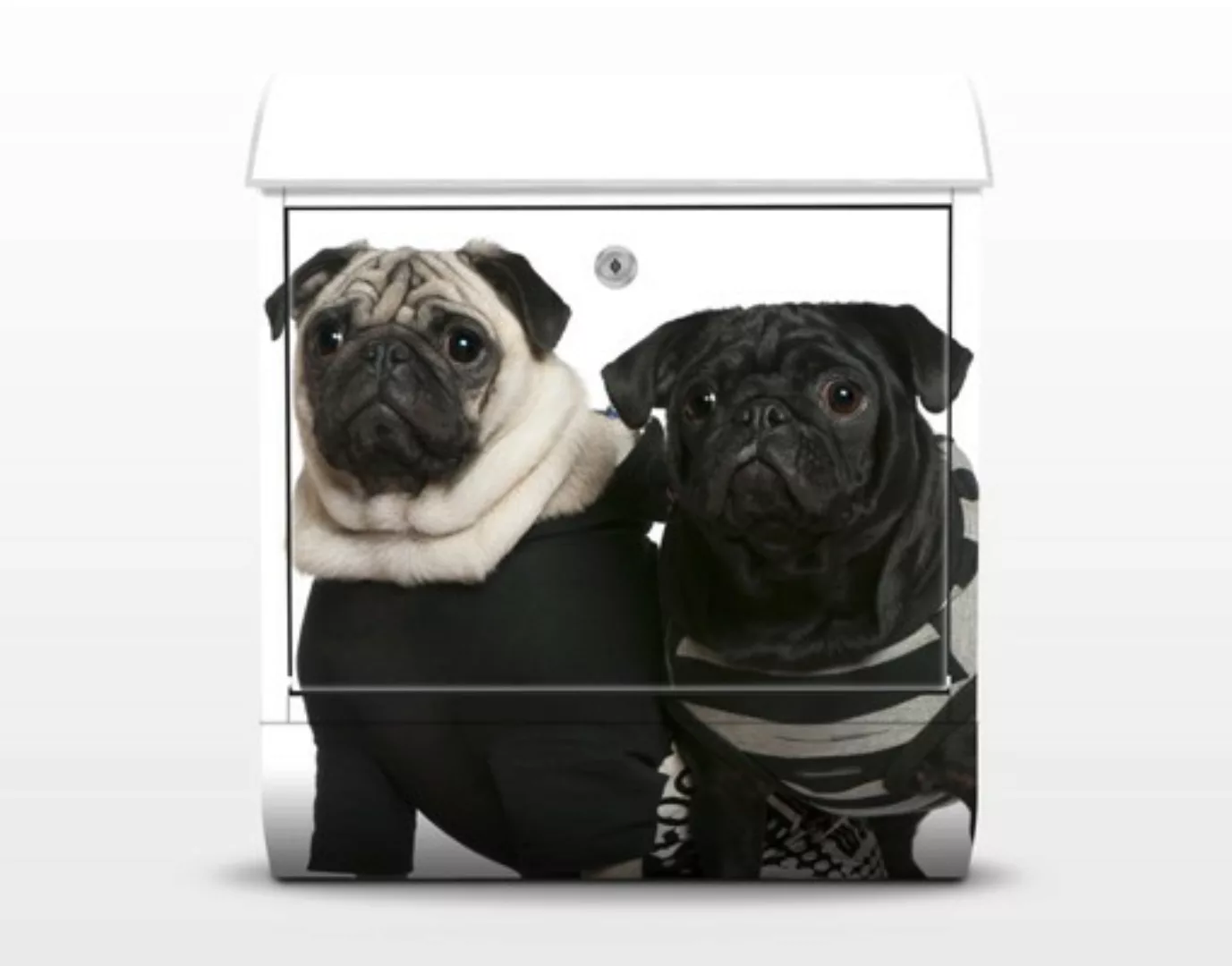 Briefkasten Tiere Mops Fashion günstig online kaufen
