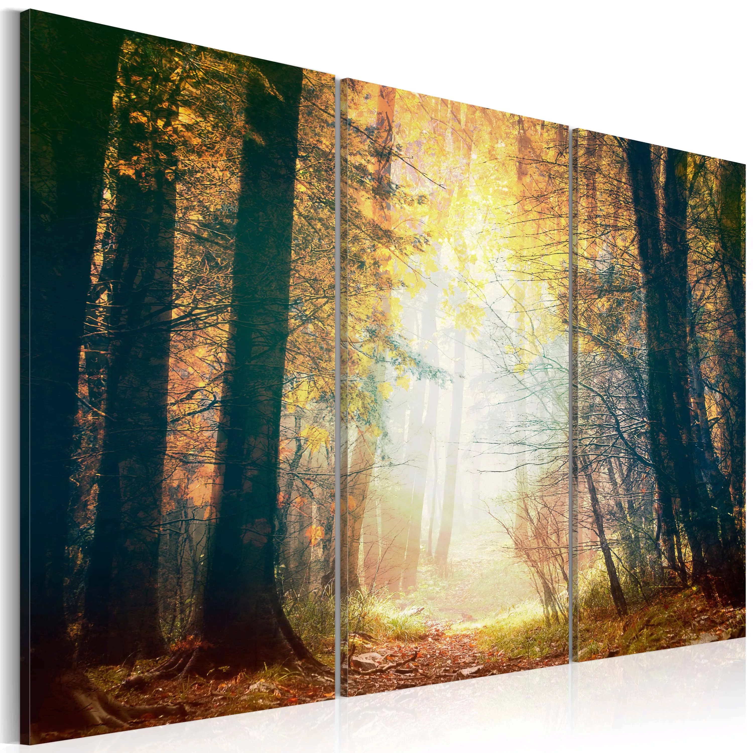 Wandbild - Schönheit des Herbstes - Triptychon günstig online kaufen