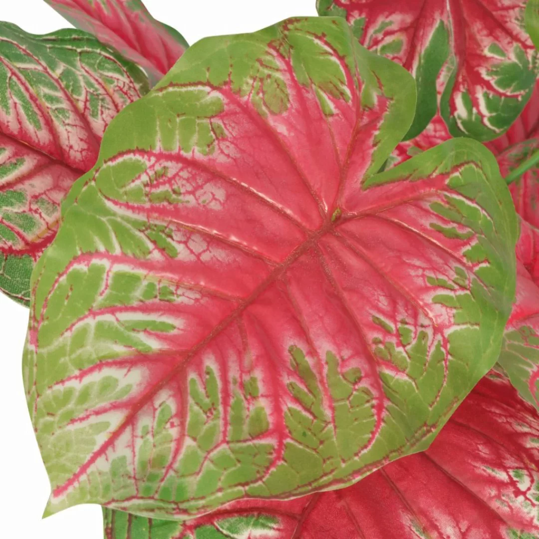 Künstliche Caladium-pflanze Mit Topf 70 Cm Grün Und Rot günstig online kaufen