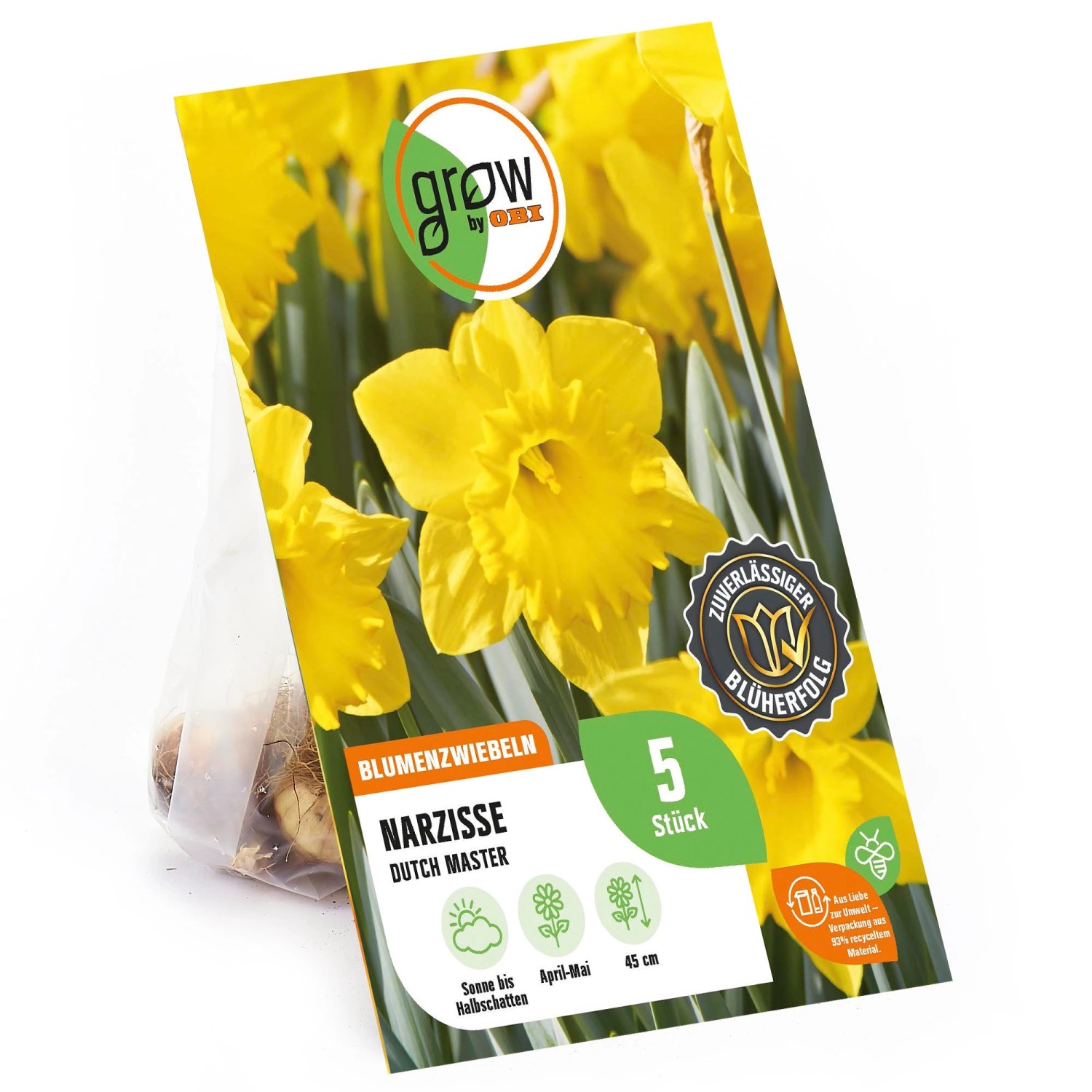 GROW by OBI Narzisse Dutch Master Gelb 5 Stück Narcissus large cupped Dutch günstig online kaufen