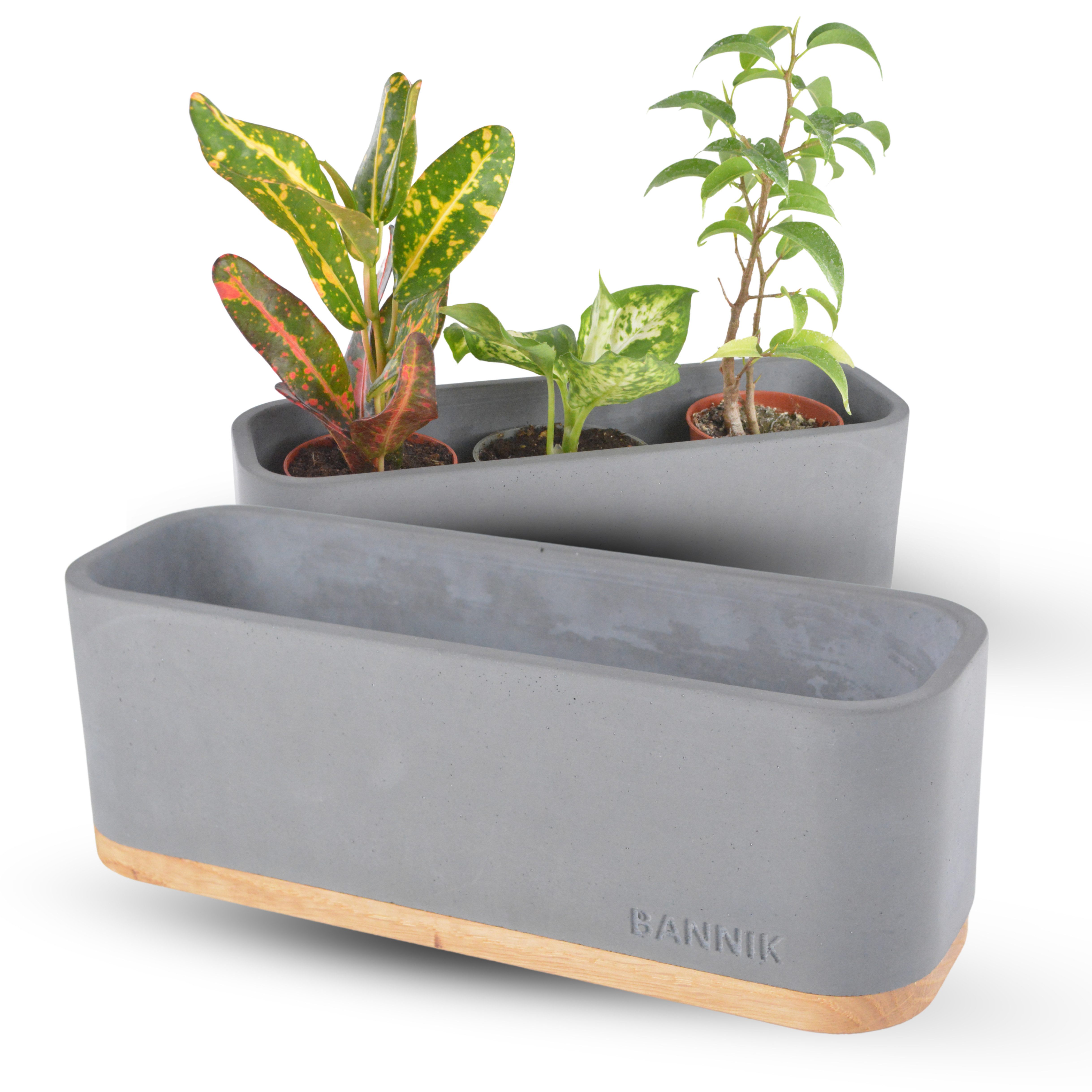 Bannik Blumentopf aus Beton und Holz günstig online kaufen