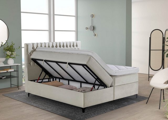 BettCo Stauraumbett Boxspringbett mit Bettkasten Vegas (in Samt Creme, 140 günstig online kaufen