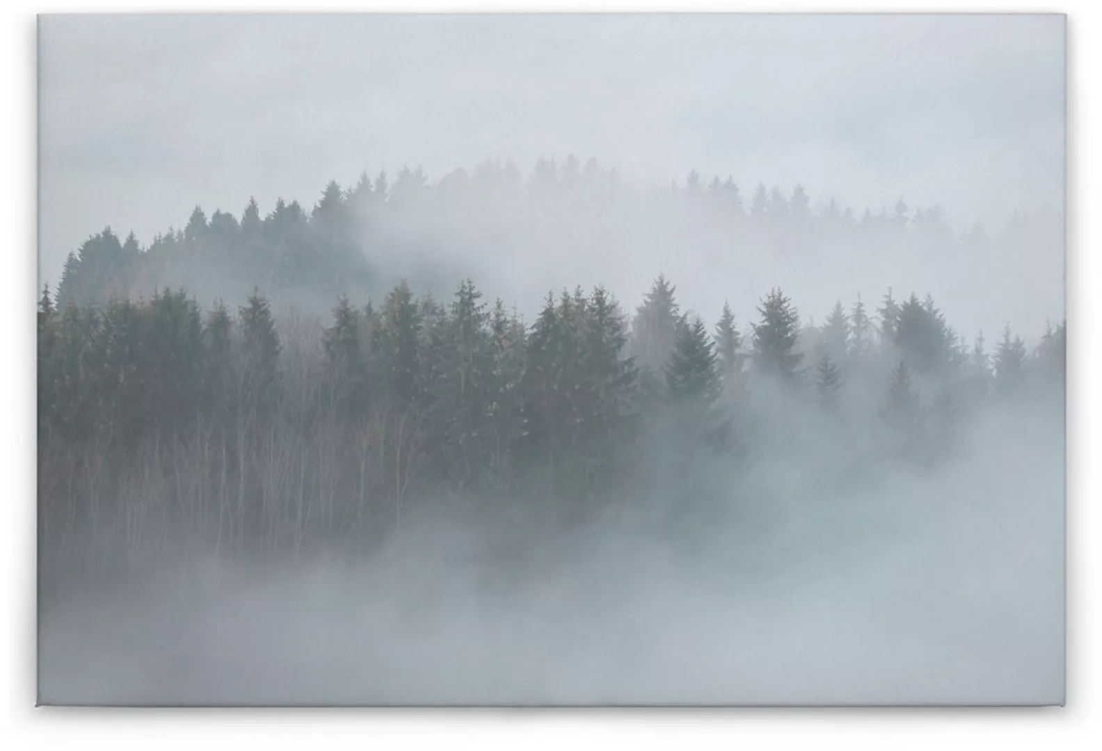 A.S. Création Leinwandbild "Misty Forest", Wald, (1 St.), Nebel Bild Keilra günstig online kaufen