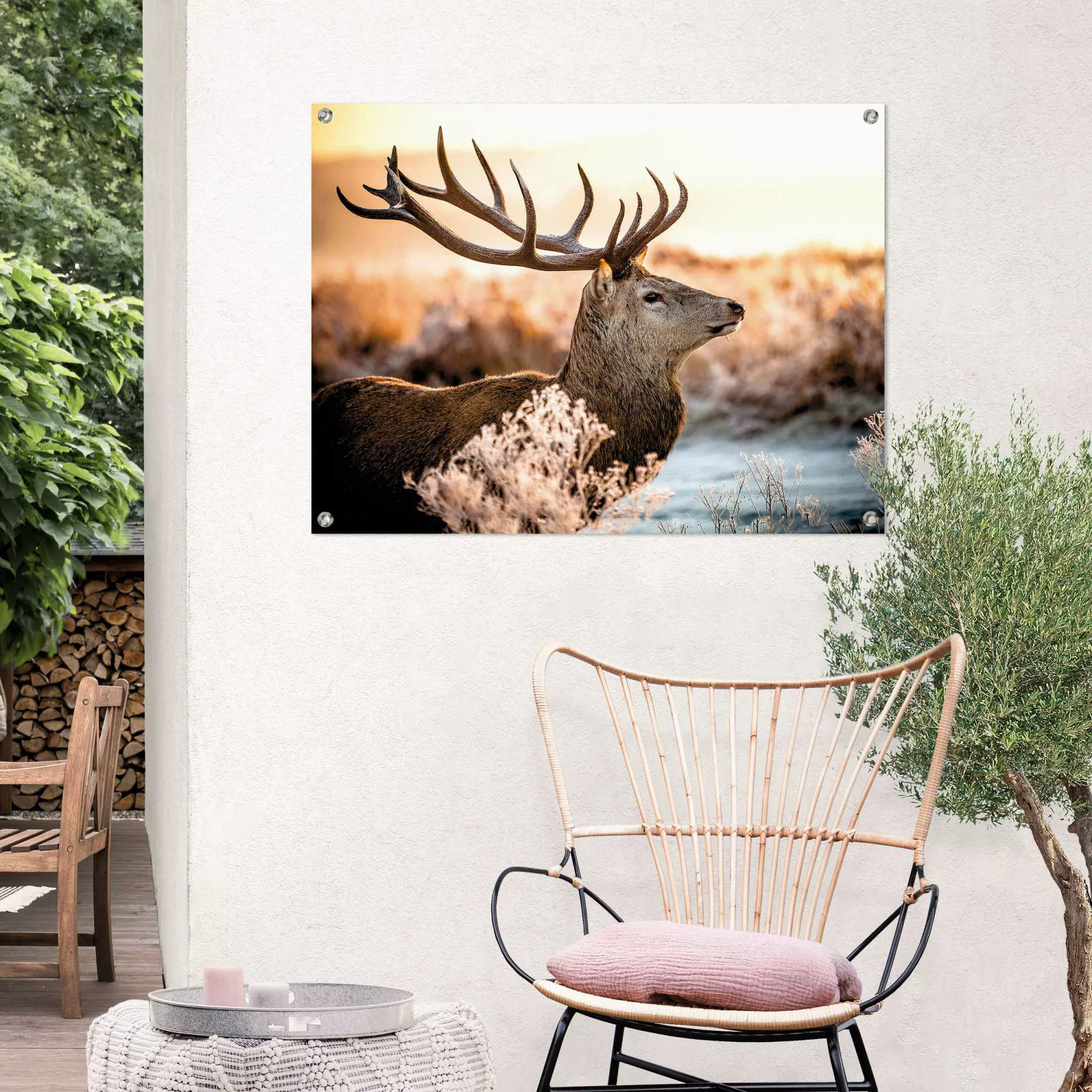 Reinders Poster "Hirsch", Outdoor für Garten oder Balkon günstig online kaufen