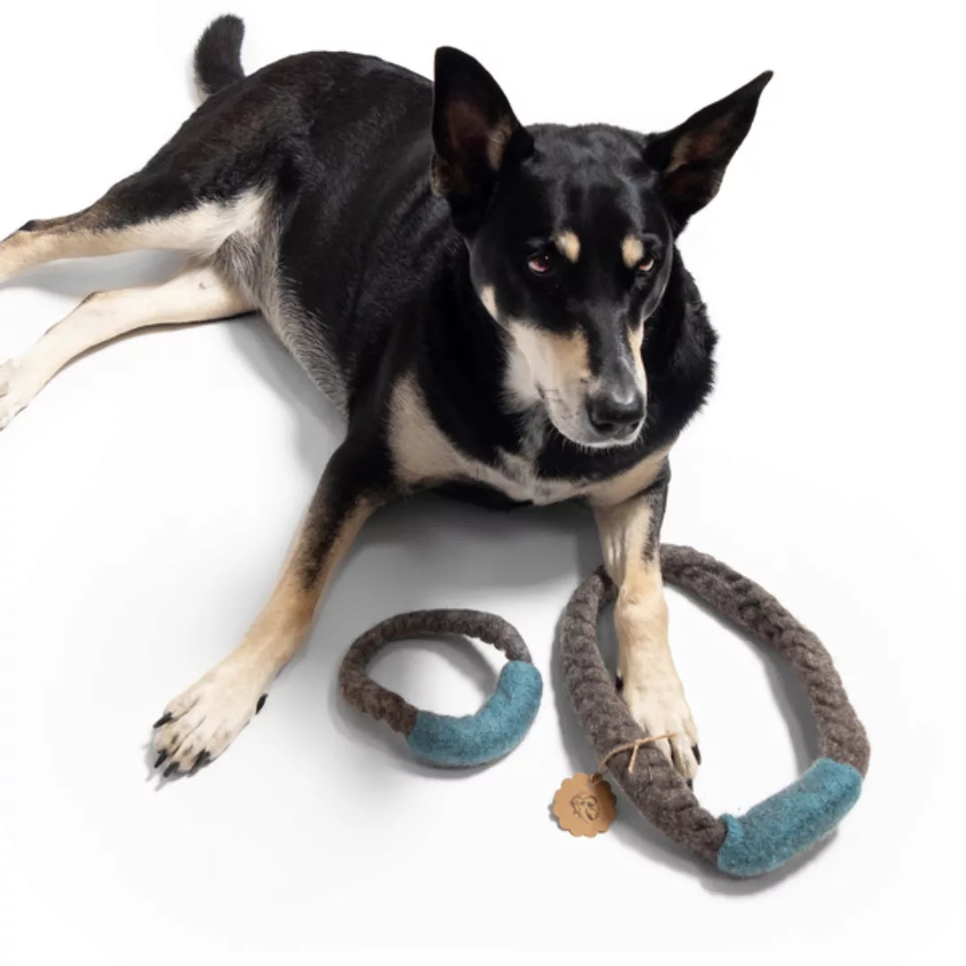 Hunde-zerrspielzeug Ray günstig online kaufen