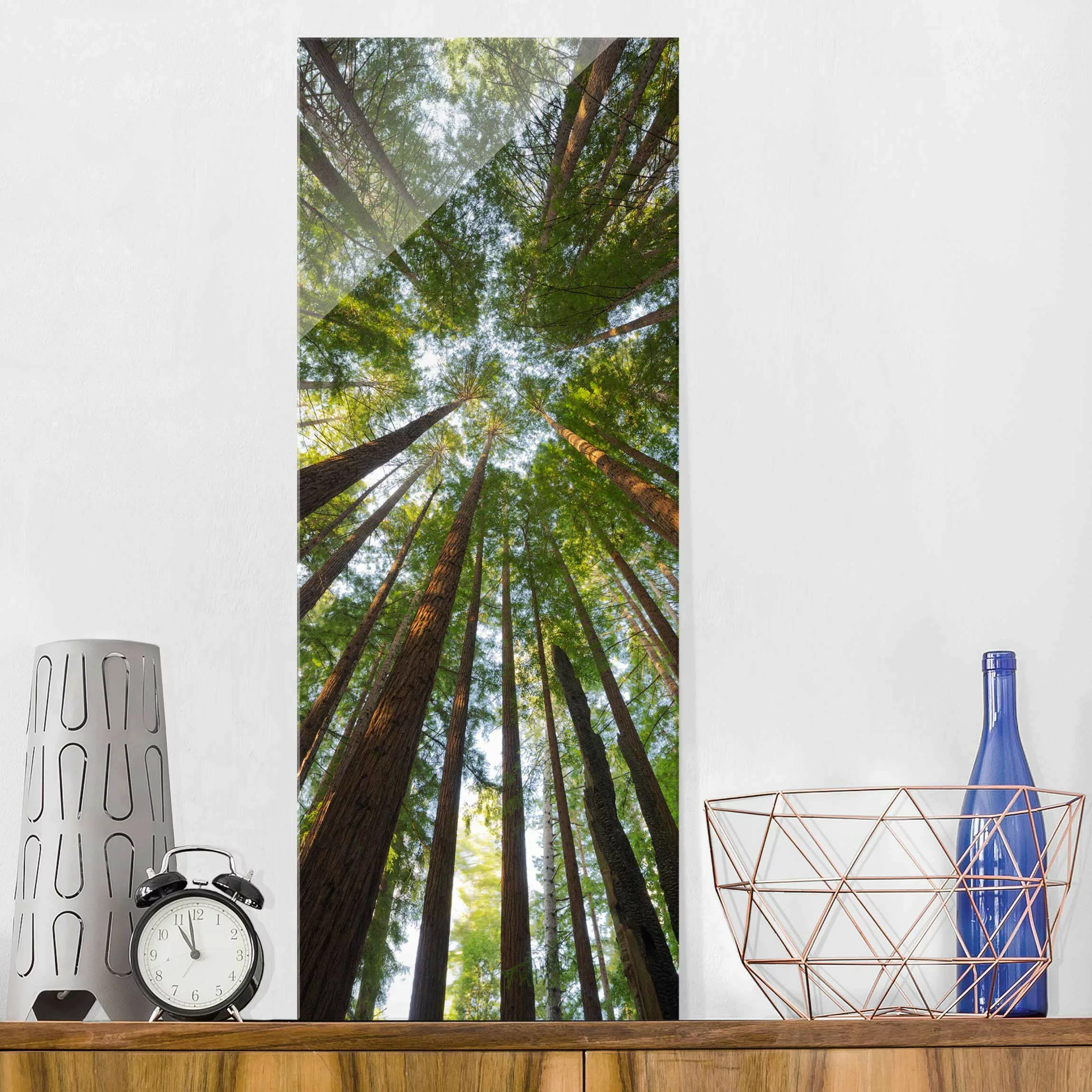 Glasbild Natur & Landschaft - Hochformat Mammutbaum Baumkronen günstig online kaufen