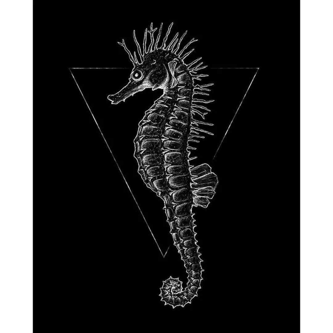Komar Wandbild Sea Horse Black Tiere B/L: ca. 40x50 cm günstig online kaufen