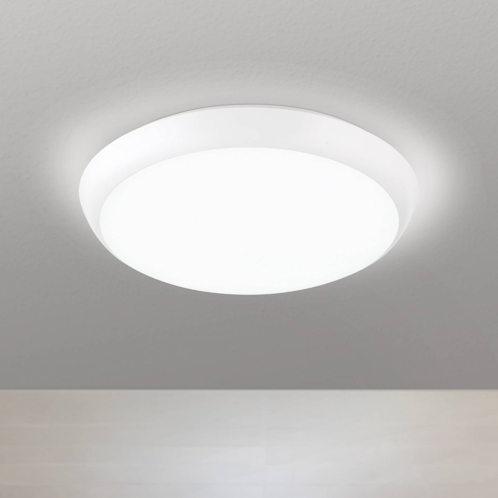 LED-Deckenleuchte Maggy, Ø 25 cm, weiß, CCT, IP65, Dekoringe günstig online kaufen