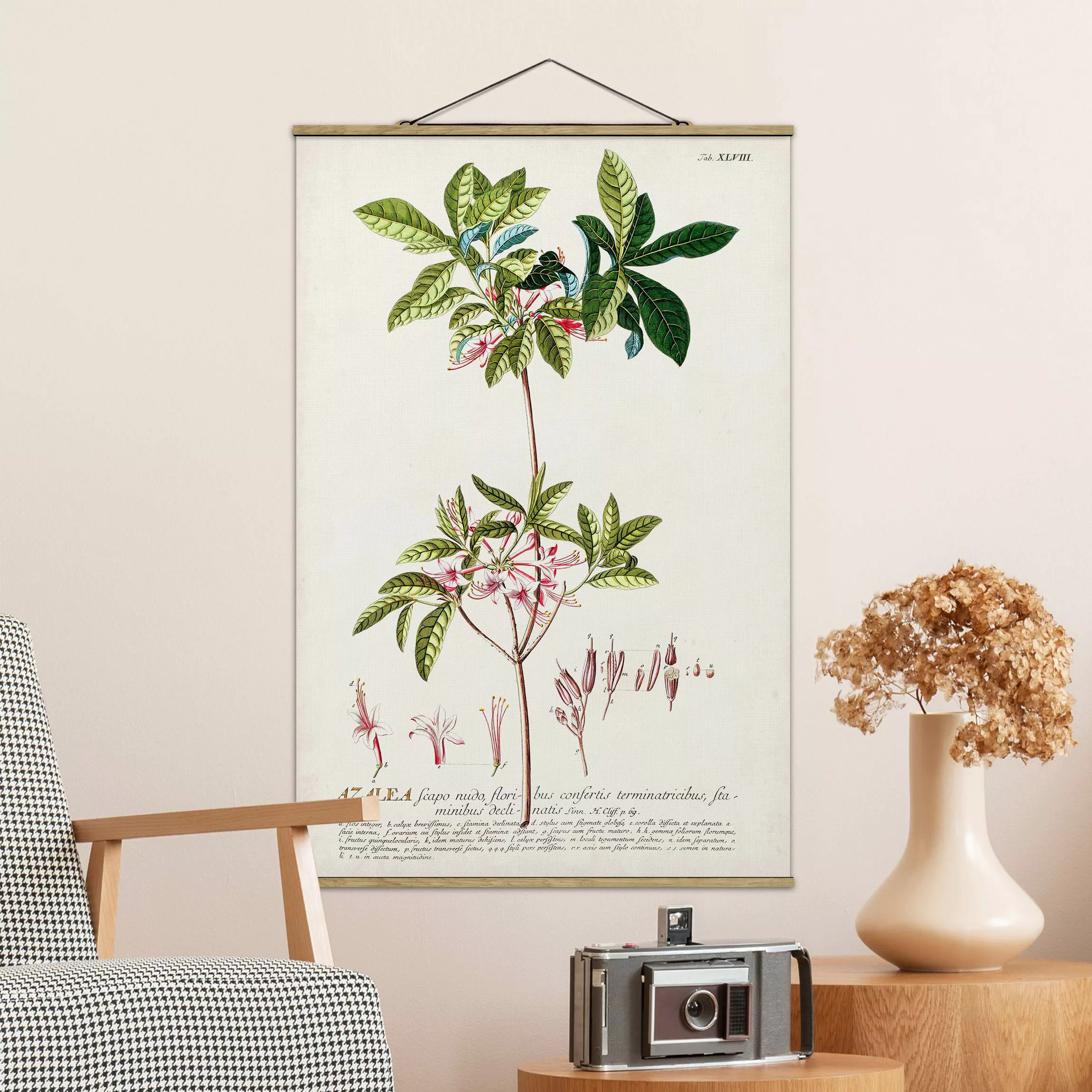 Stoffbild Blumen mit Posterleisten - Hochformat Vintage Botanik Illustratio günstig online kaufen