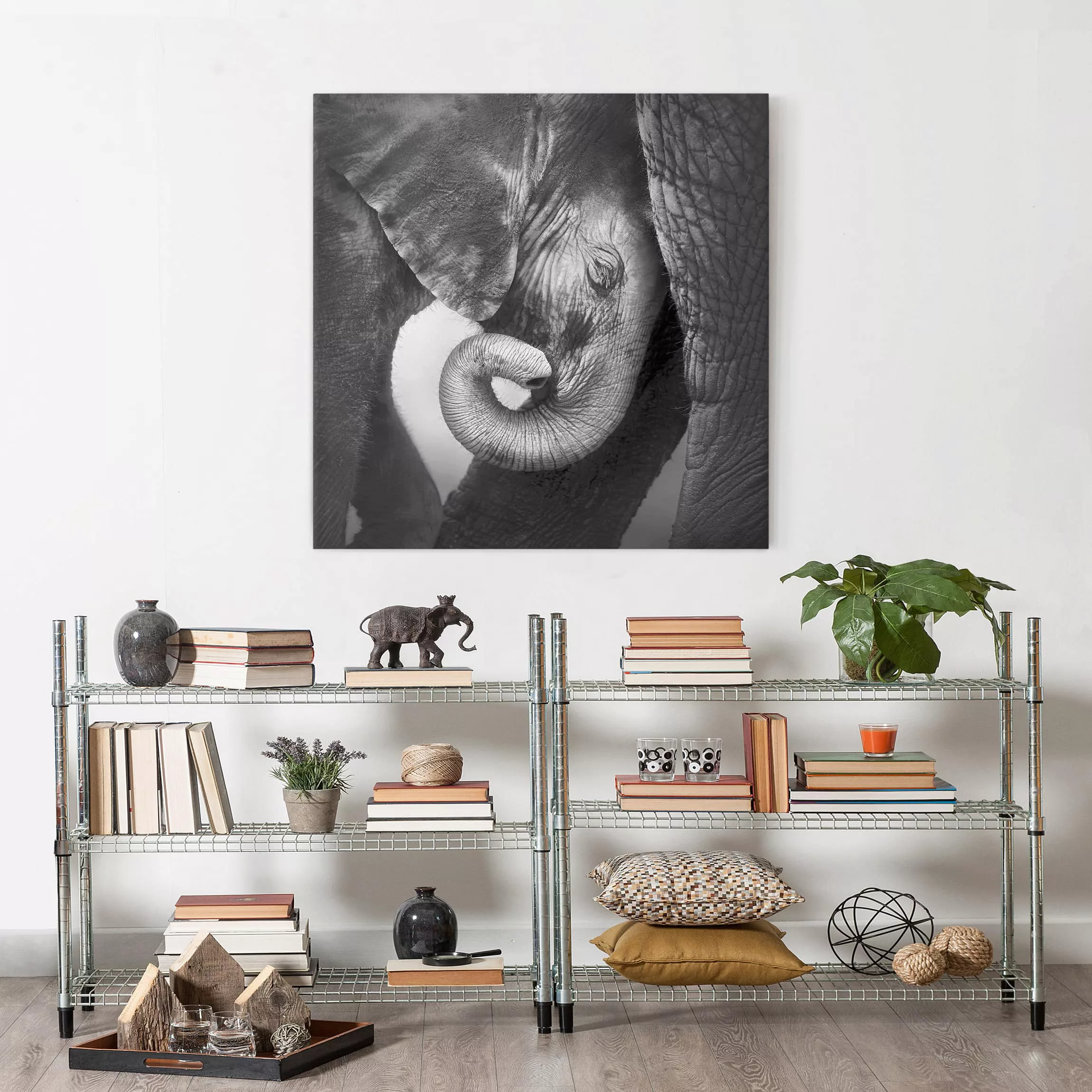 Leinwandbild Elefant - Quadrat Mutterliebe günstig online kaufen