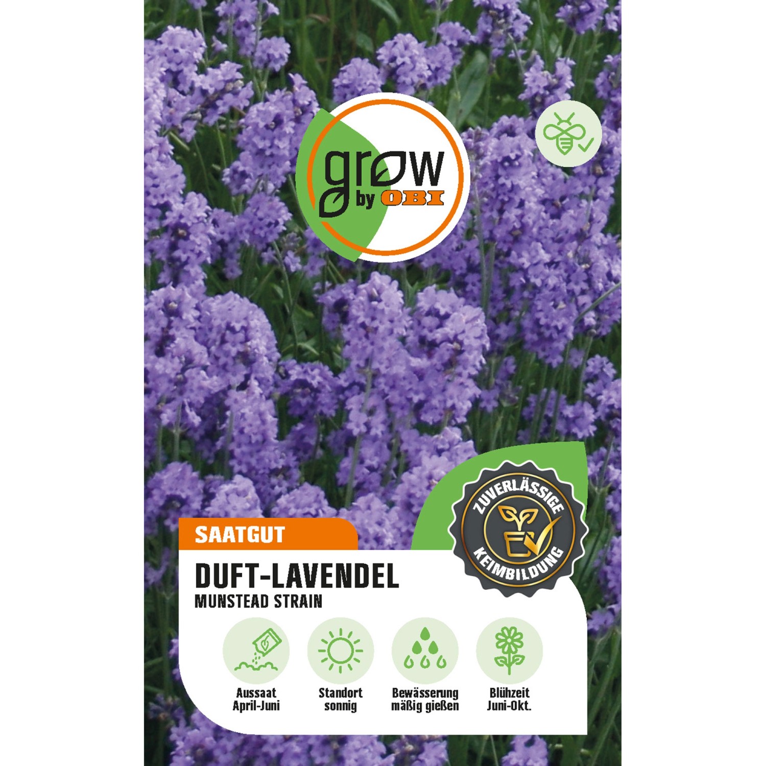 GROW by OBI Duft-Lavendel Munstead Strain Höhe ca. 40 cm günstig online kaufen