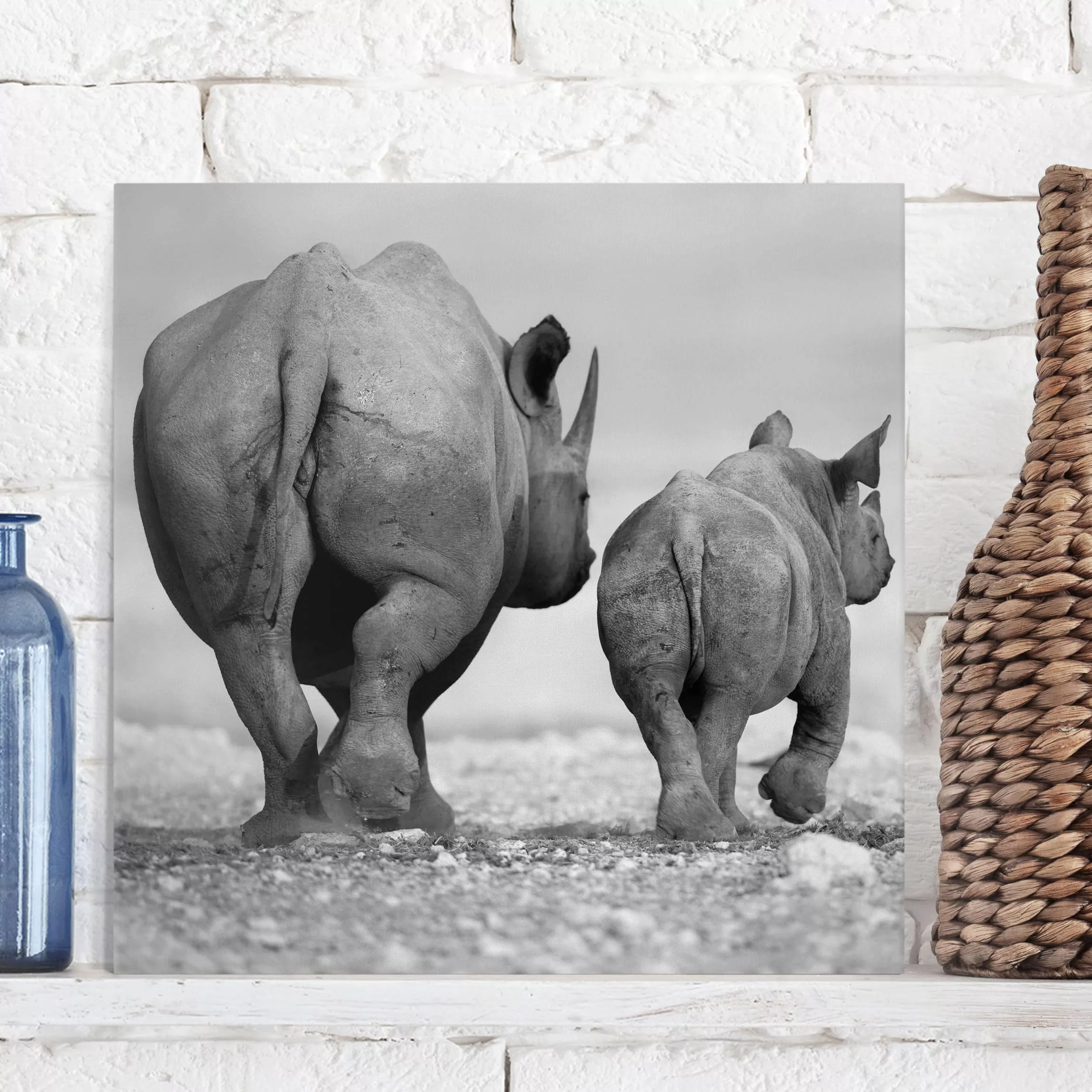 Leinwandbild Tiere - Quadrat Wandering Rhinos II günstig online kaufen