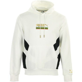 Puma  Sweatshirt TFS Worldhood Hoodie günstig online kaufen