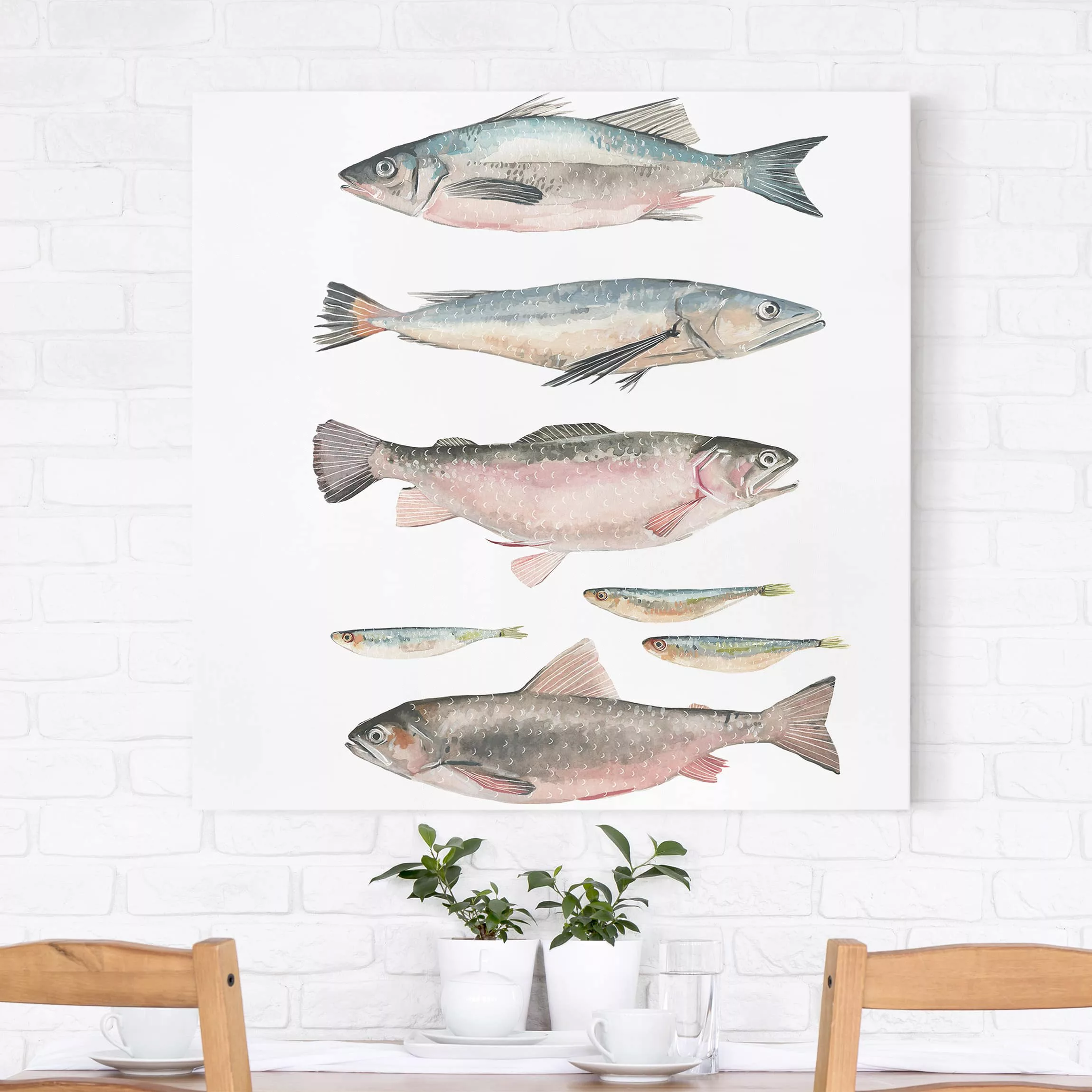 Leinwandbild Tiere - Quadrat Sieben Fische in Aquarell I günstig online kaufen