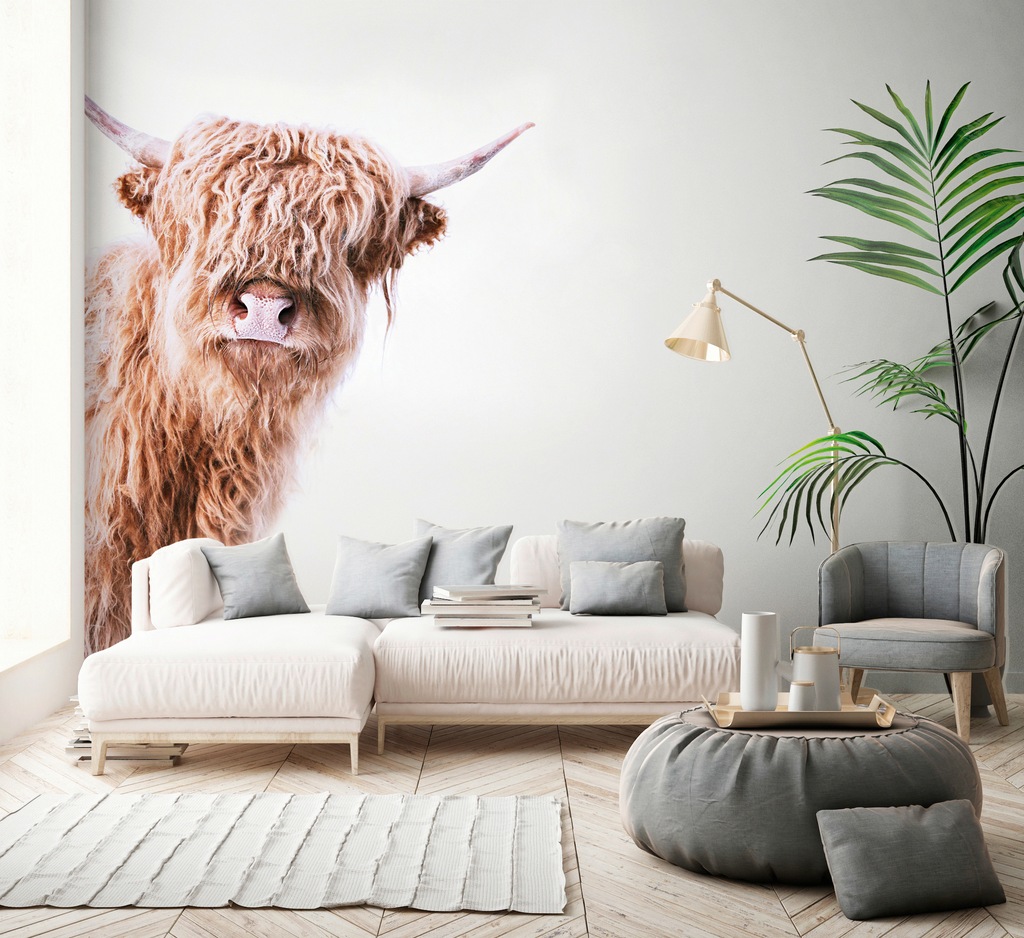 living walls Fototapete »ARTist Highland Cattle«, Vlies, Wand, Schräge günstig online kaufen