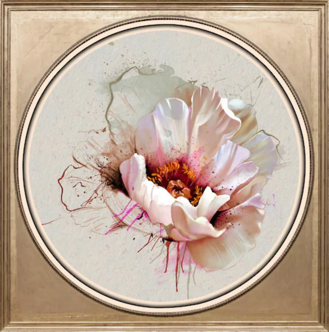 queence Acrylglasbild »Weiße Blüte« günstig online kaufen